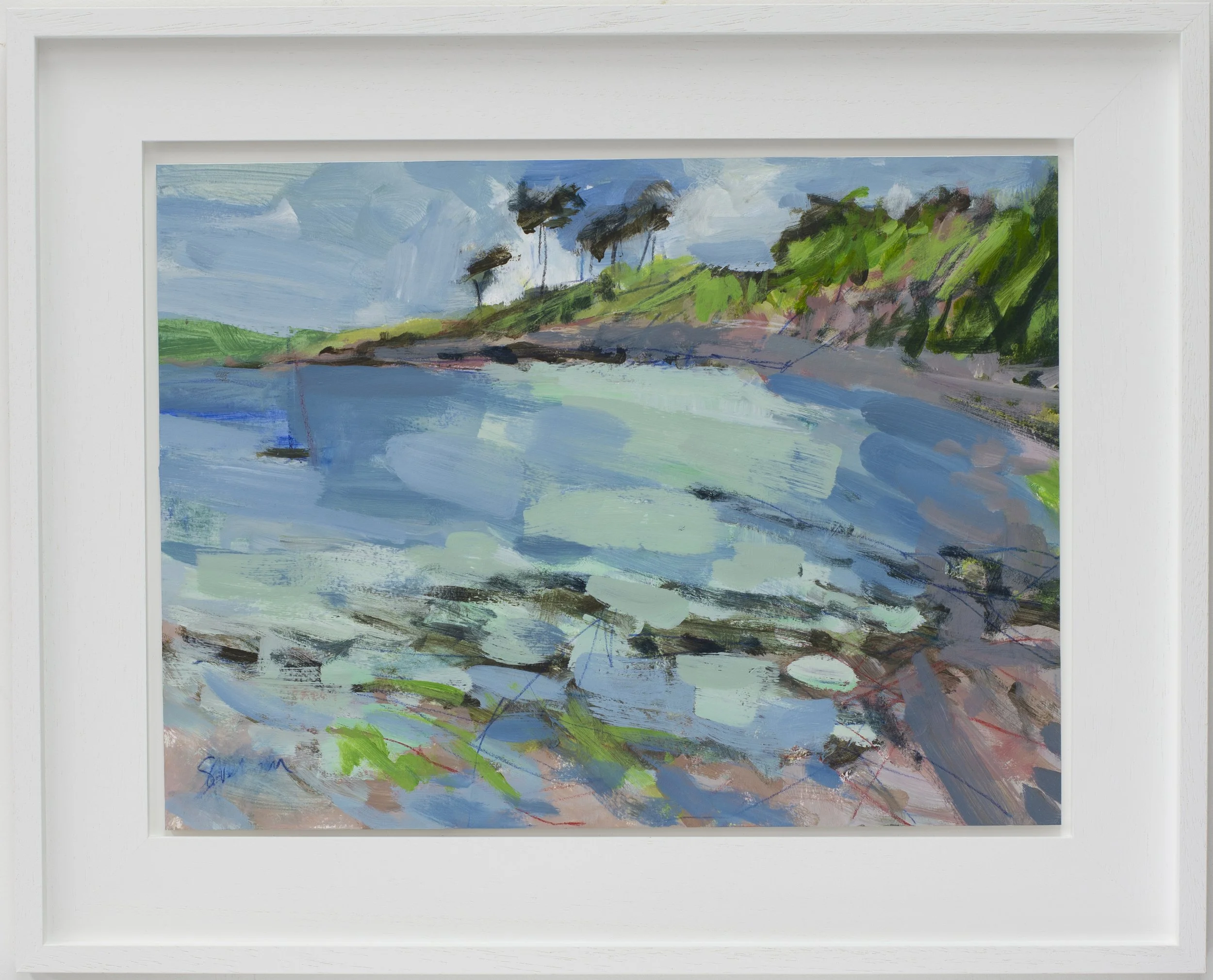 Durgan summer framed.jpeg