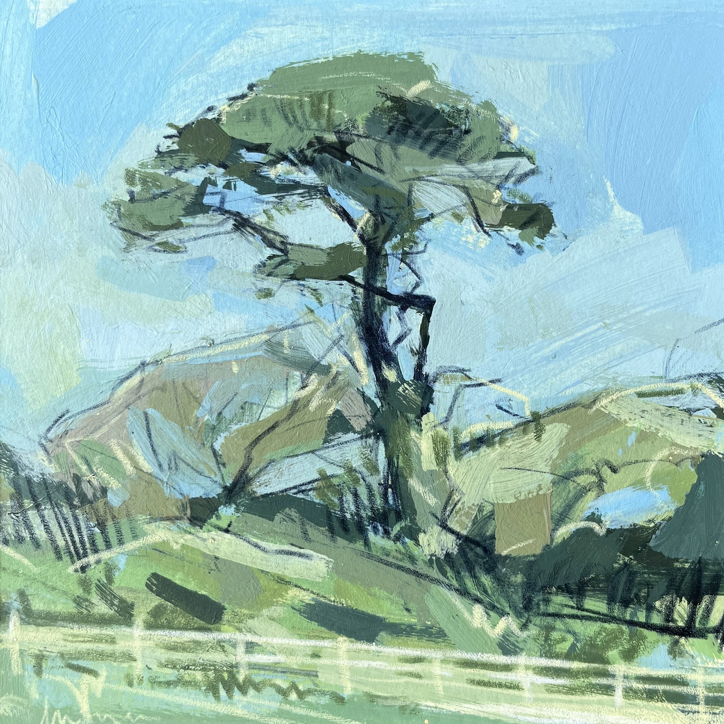treeportrait.jpg