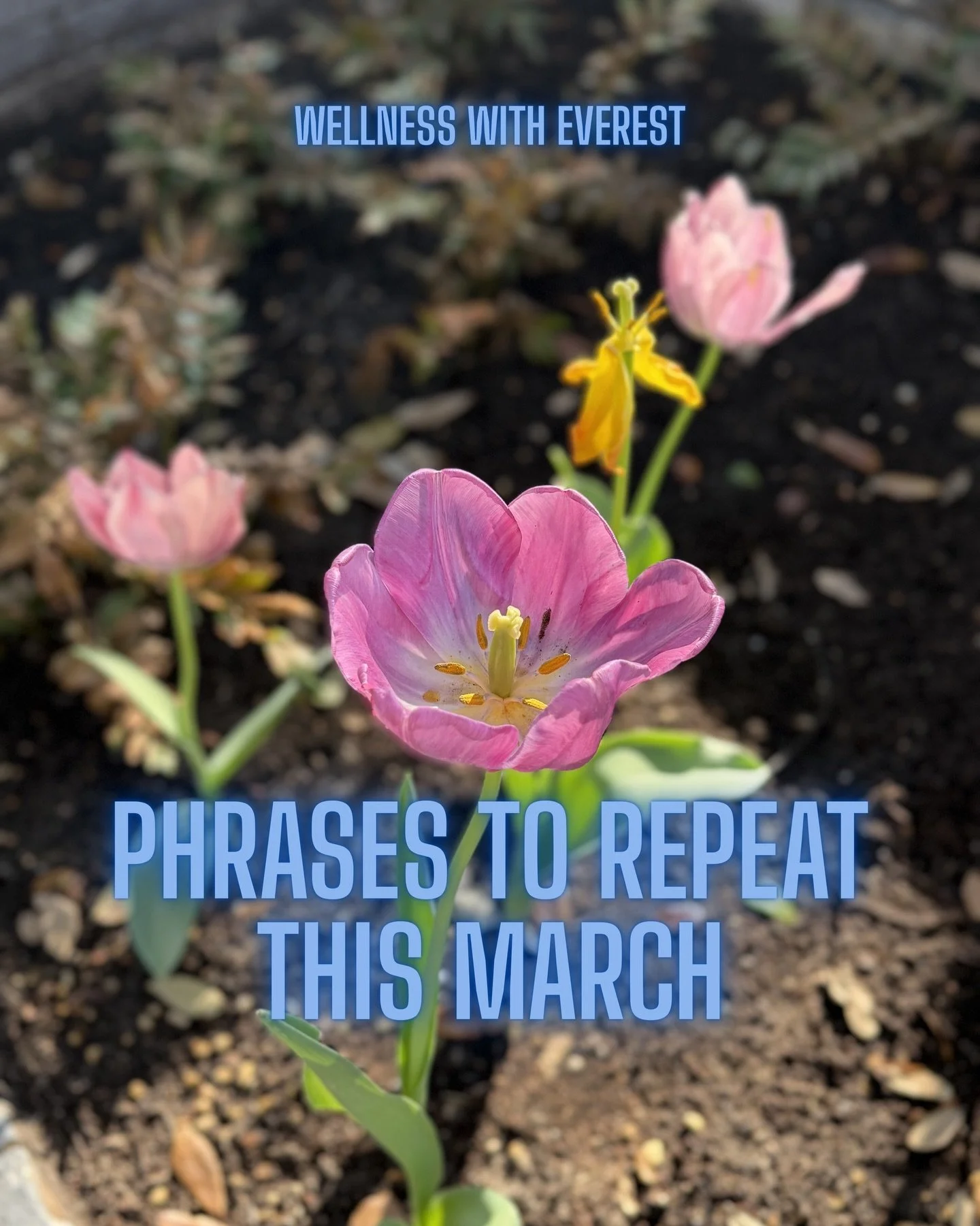 Happy March!

With Spring around the corner, it&rsquo;s the perfect time to be intentional about the words you&rsquo;re repeating to yourself.

Our brain and body are always listening to what we tell ourselves, so speak to yourself like something bea