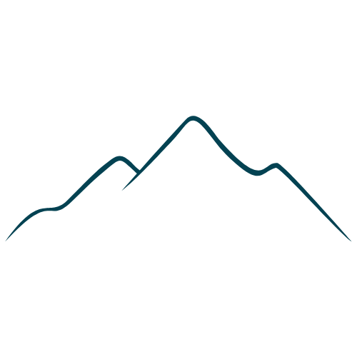 Line graph showing peaks and valleys, representing data trends over time.
