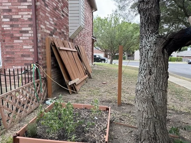Fence 3.jpg