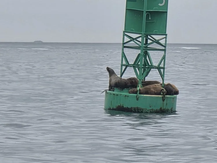 Report from Alaska: Part II