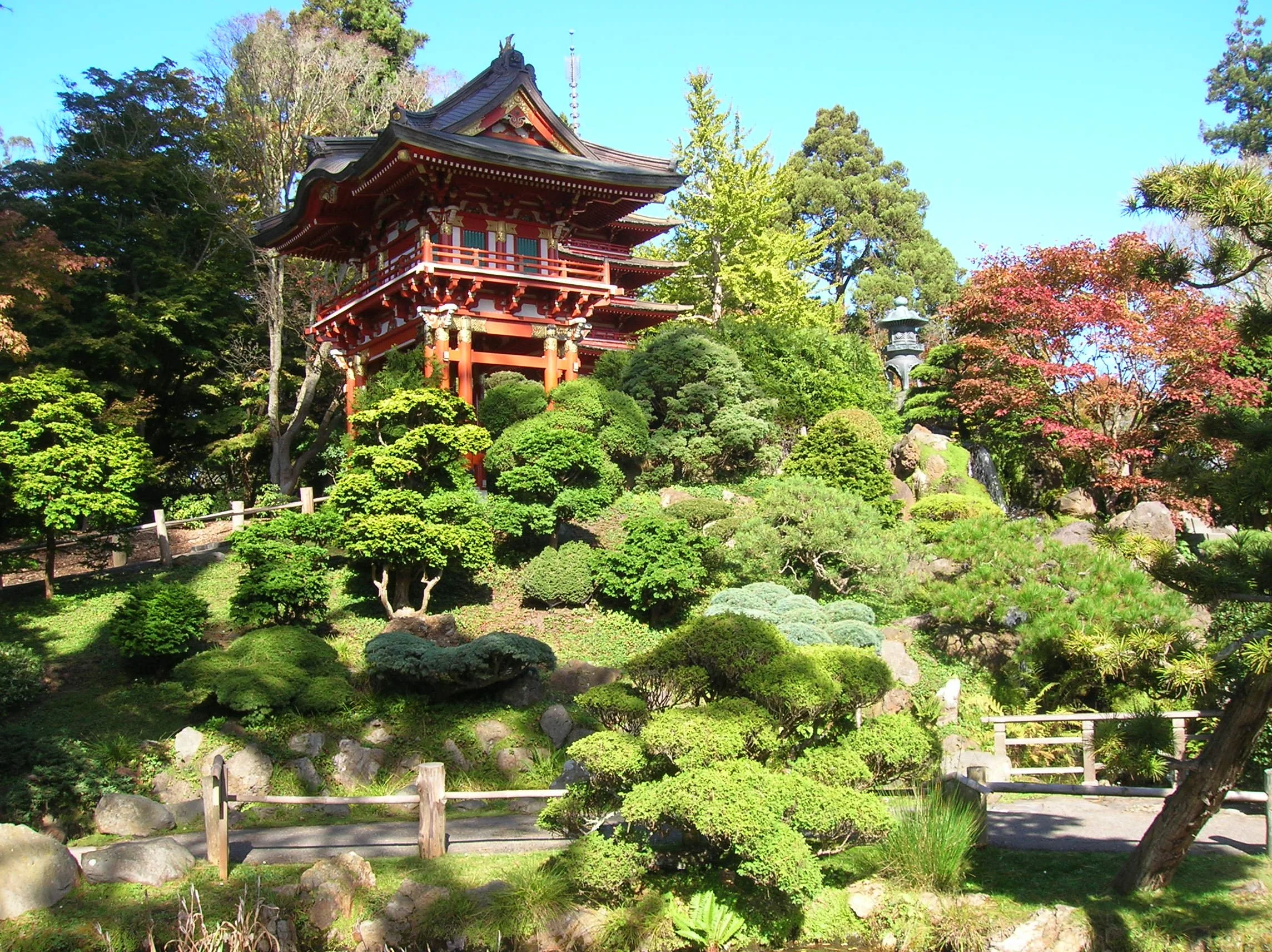The Japanese Tea Garden in Golden Gate Park: A Local Perspective for Noe Valley, San Francisco