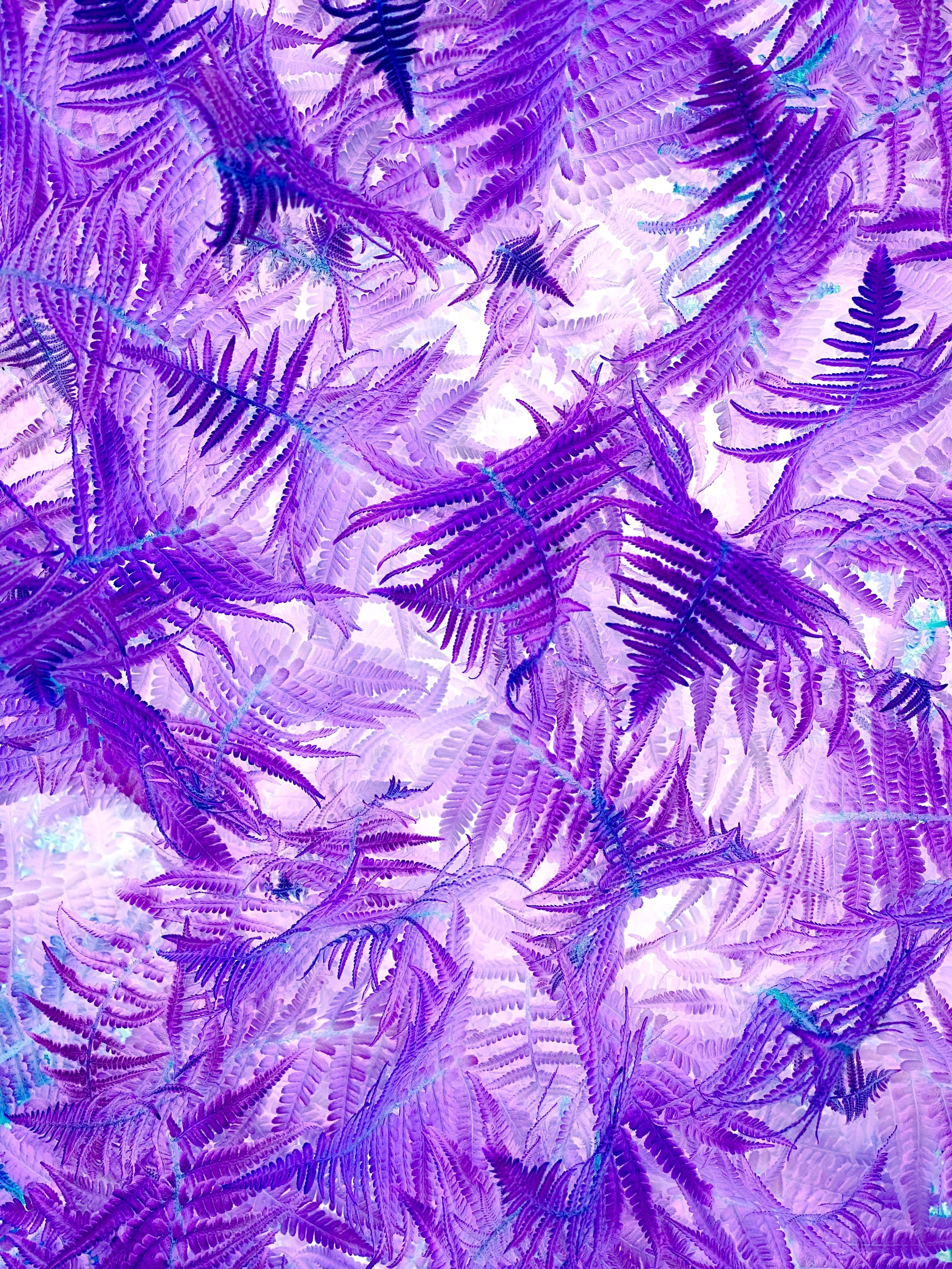 Quantum Integral Healing Arts