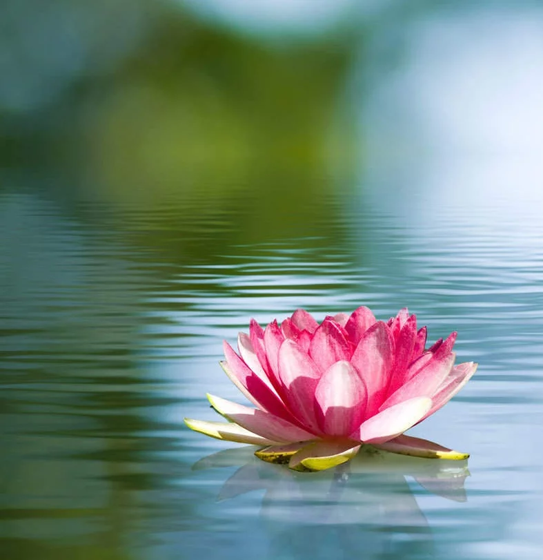 Quantum Integral Healing Arts