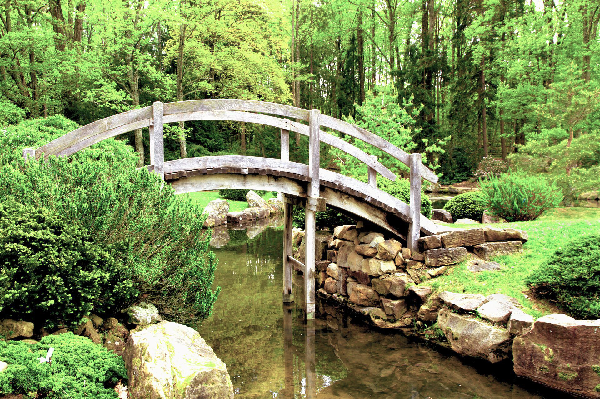 Quantum Integral Healing Arts