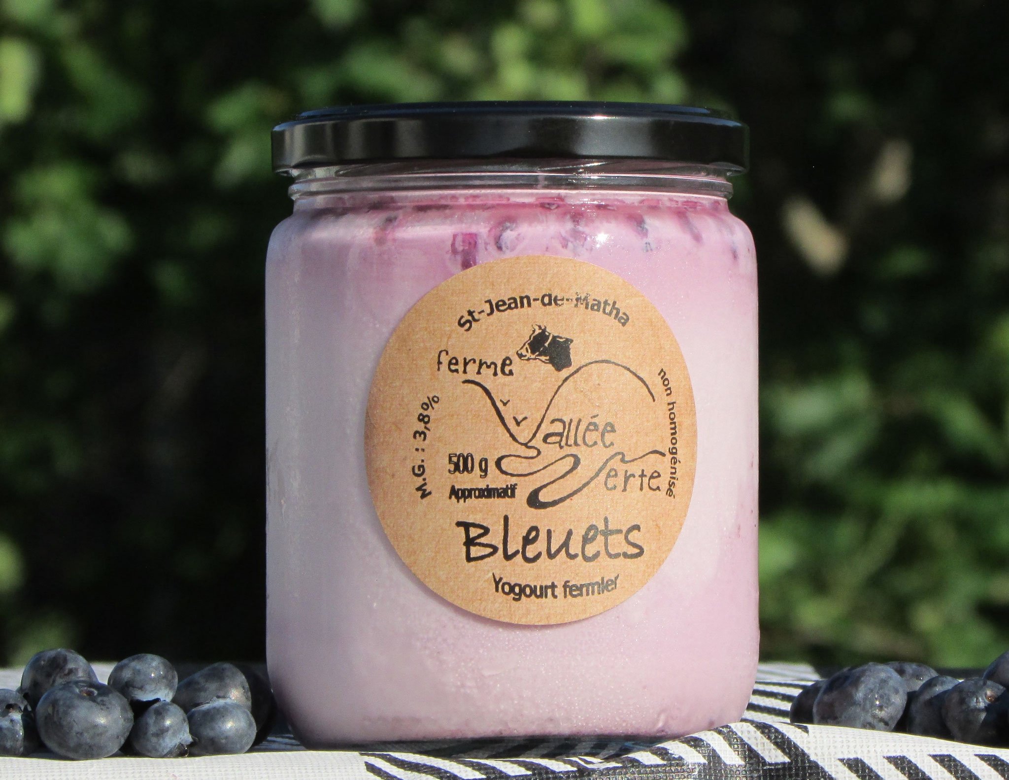 Yogourt 500g