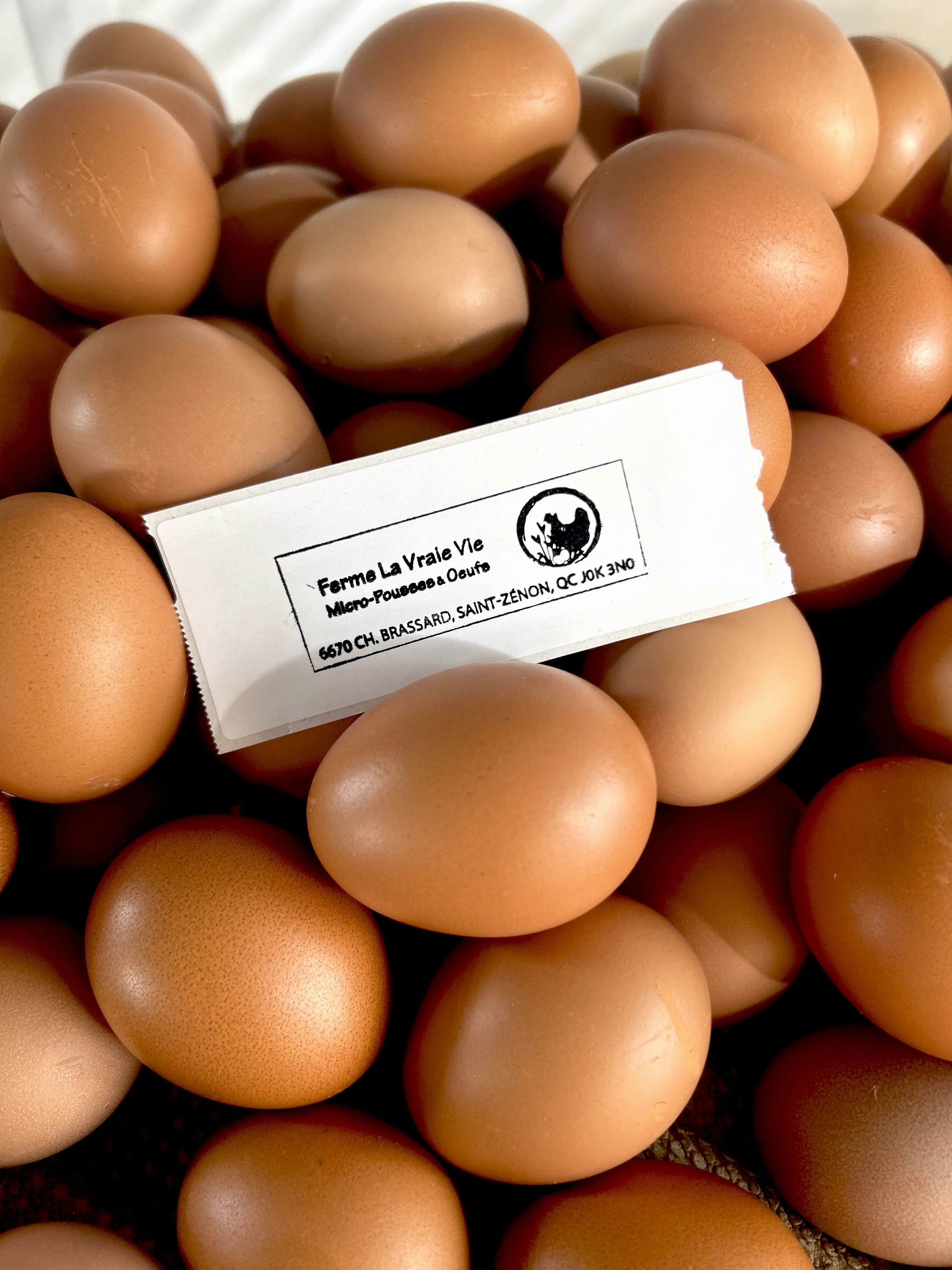 oeufs-de-nouvelles-poulettes.jpg