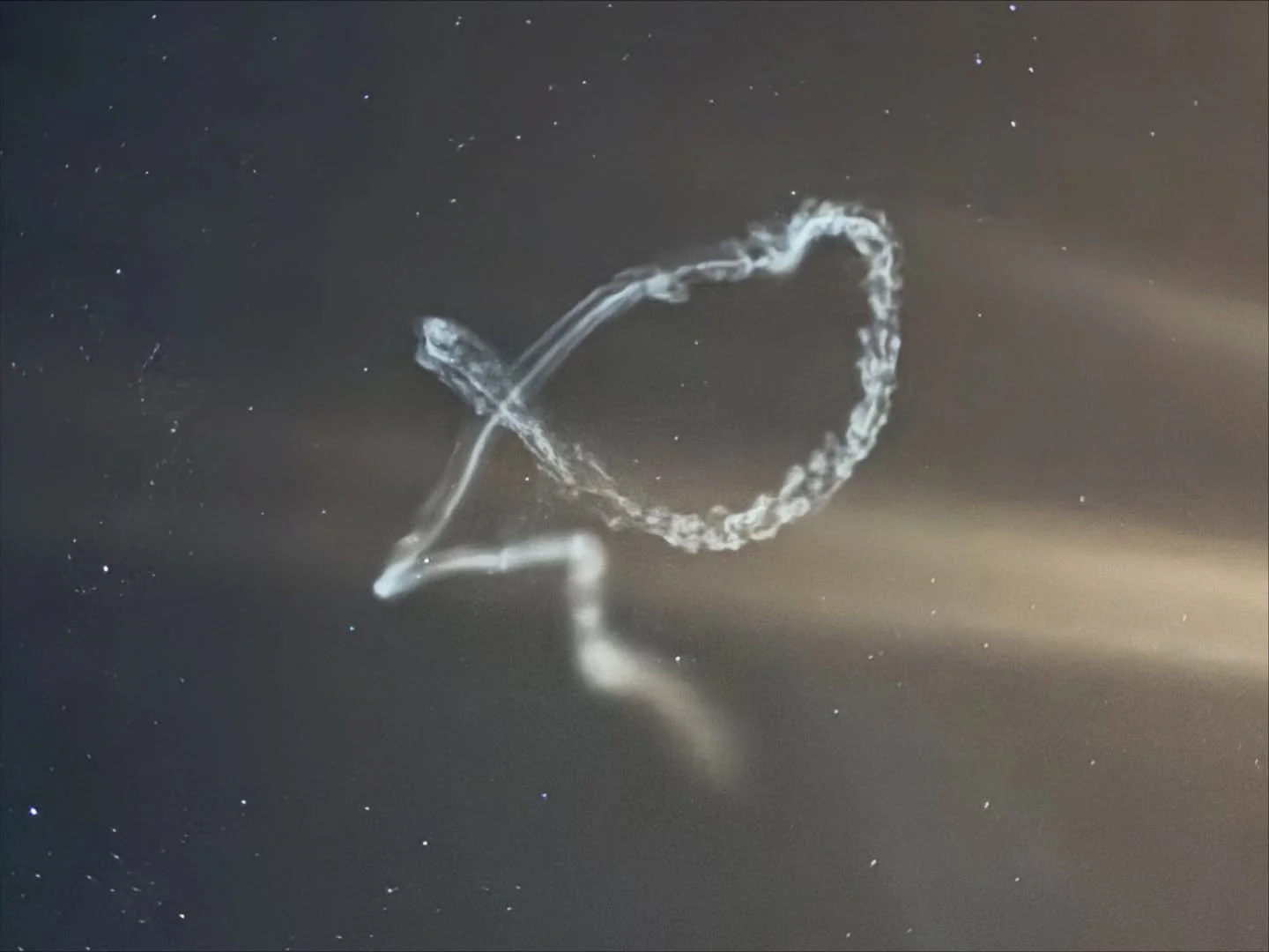 What’s better than a rocket launch?
@nasawallops launching 3 sounding rockets, with the first two releasing vapor at the edge of space to 3D map the winds! πππ
Pic: first vapor release overhead from Chincoteague
@nasascience_ #nasa #scien