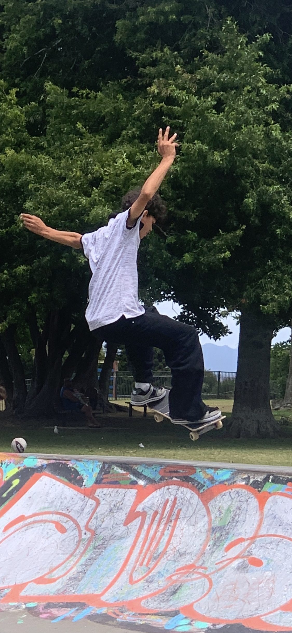 IMG_1184.PNG