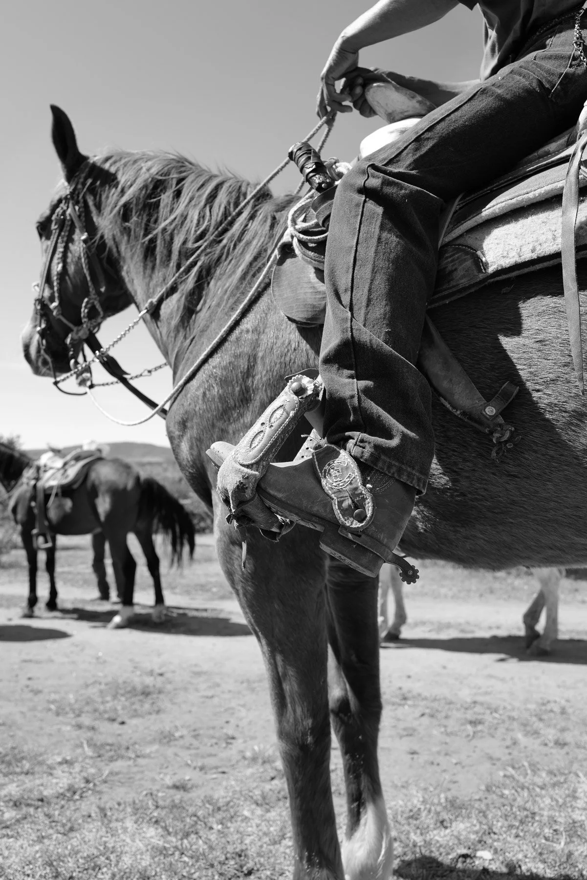 Black and white photo of a person riding a horse, focusing on the horse's side and the rider's leg and hand holding the reins, with other horses visible in the background.