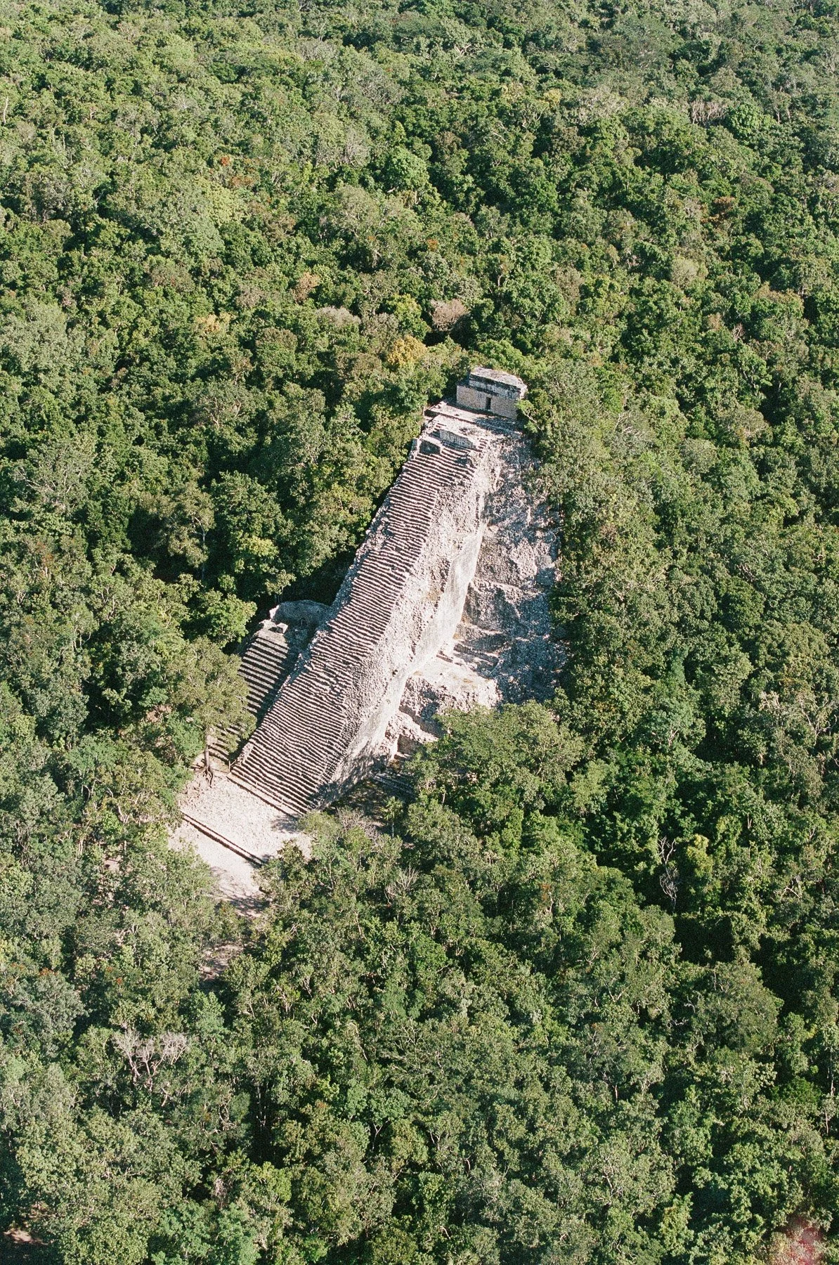 An aerial view of an ancient Mayan pyramid surrounded by dense green jungle.