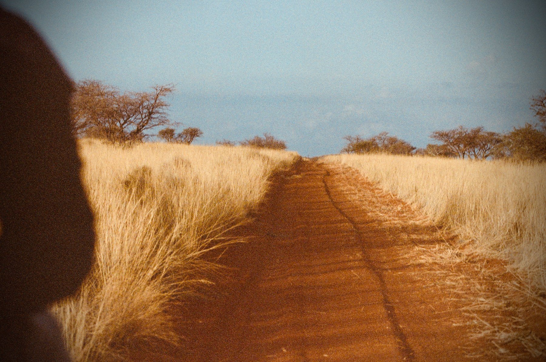 A dirt trail running through dry grass with trees in the background under a clear sky.