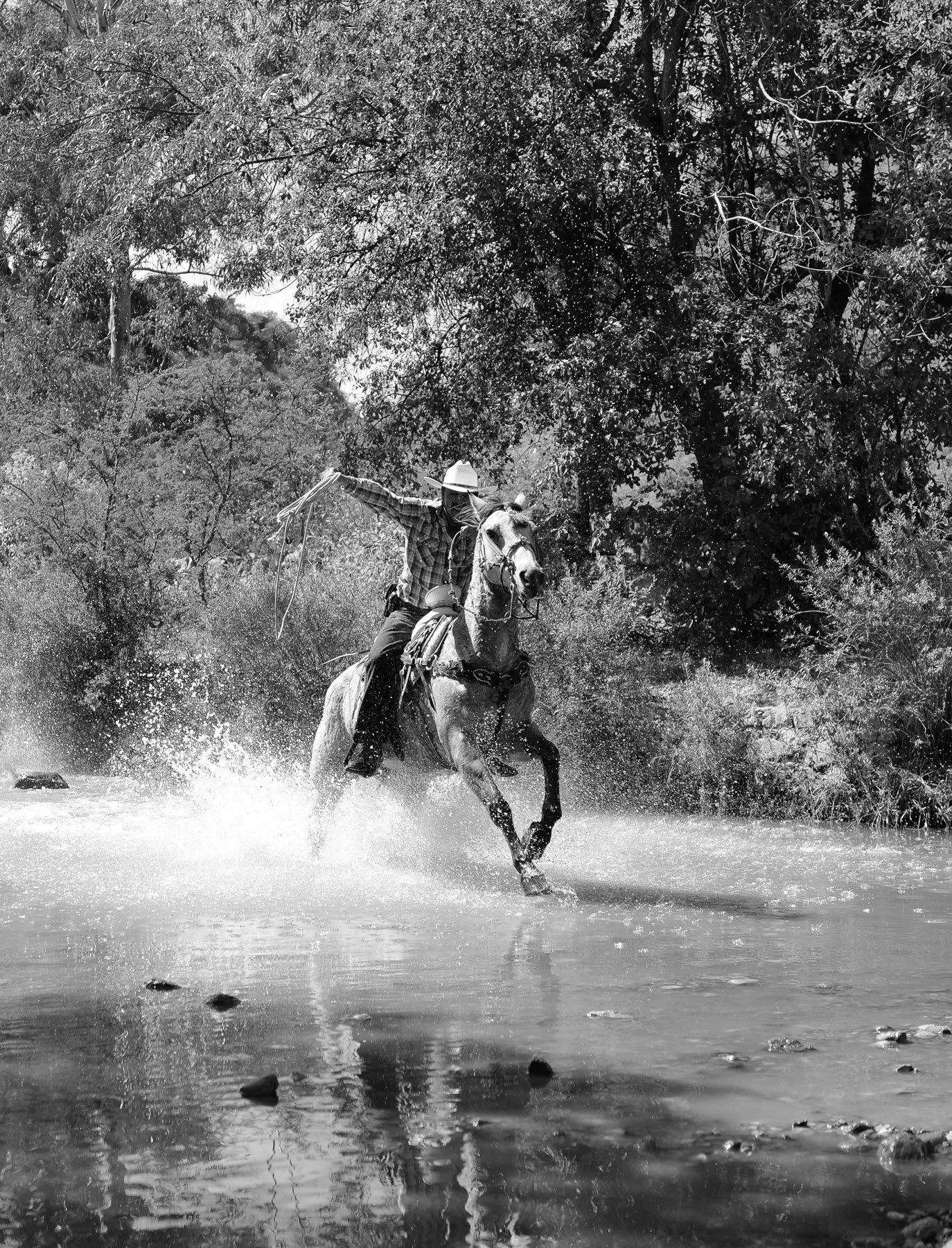 A cowboy riding a horse through a water creek with trees in the background in black and white.