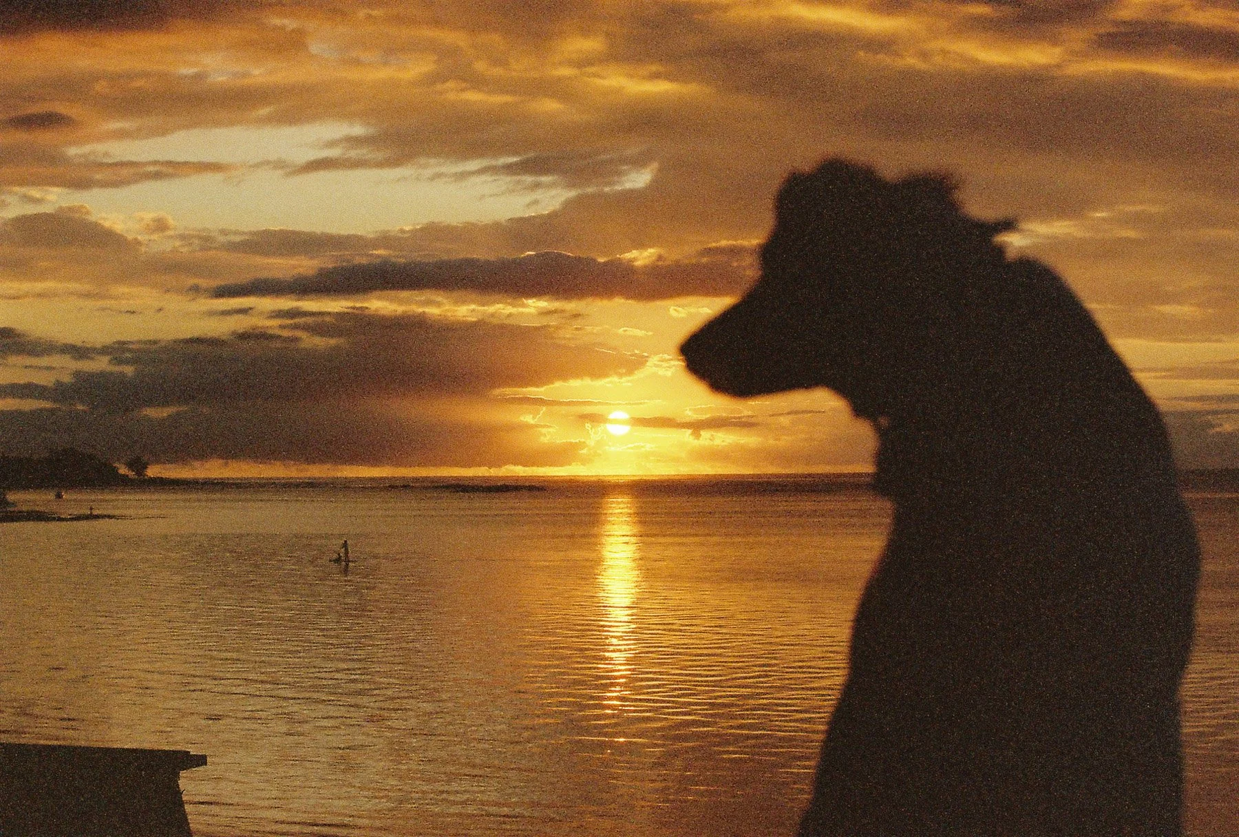 A silhouette of a person on the beach at sunset, with golden clouds and water, and a distant sailboat.