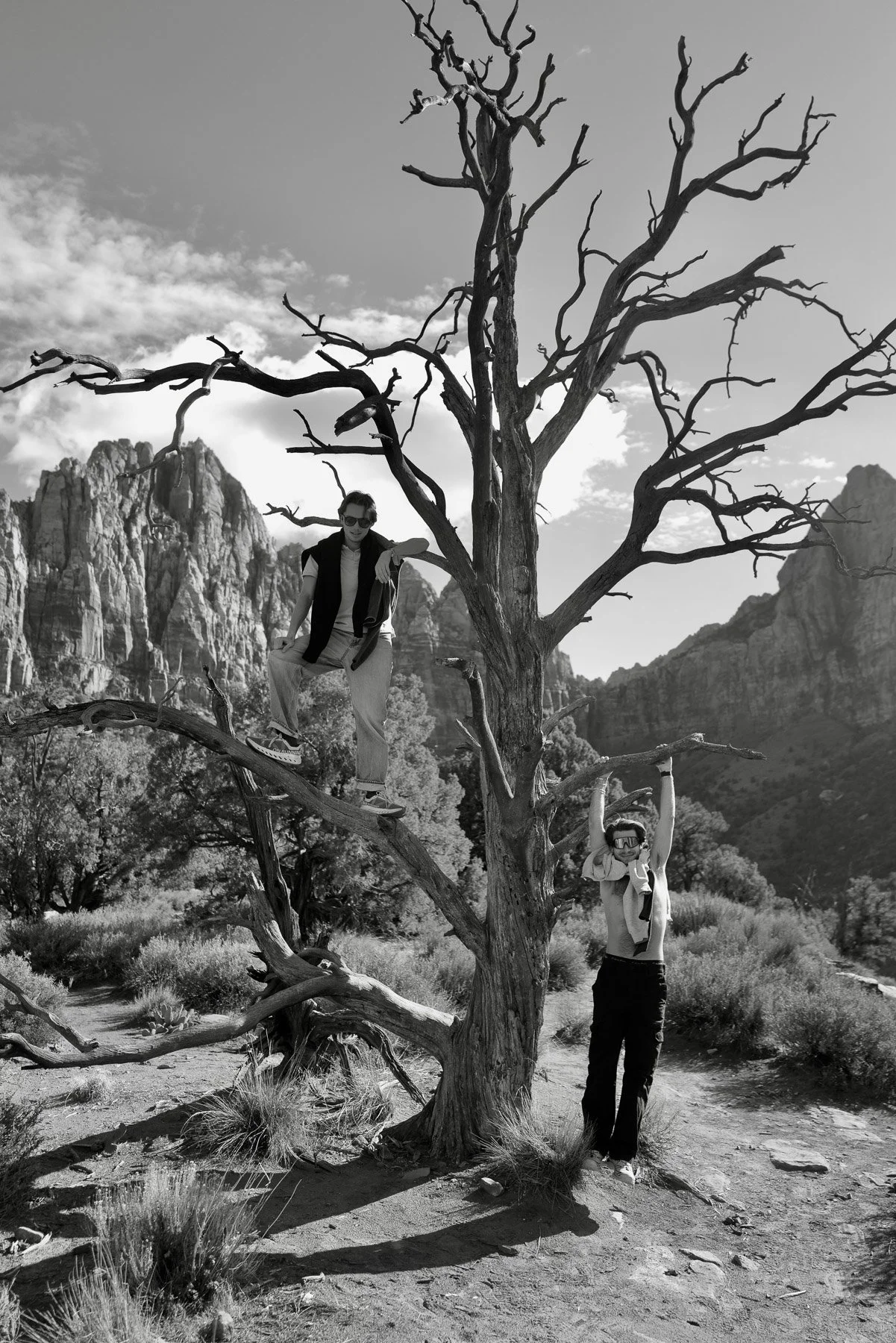 Two young men are playing around a leafless tree in a desert landscape with mountains in the background. One is standing on the ground holding a branch, while the other is sitting on a lower branch wearing sunglasses. The scene is in black and white.