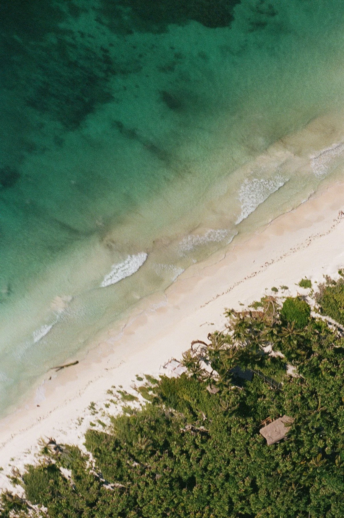An aerial view of a beach showing green waves crashing onto a sandy shoreline with some greenery and trees along the edge.