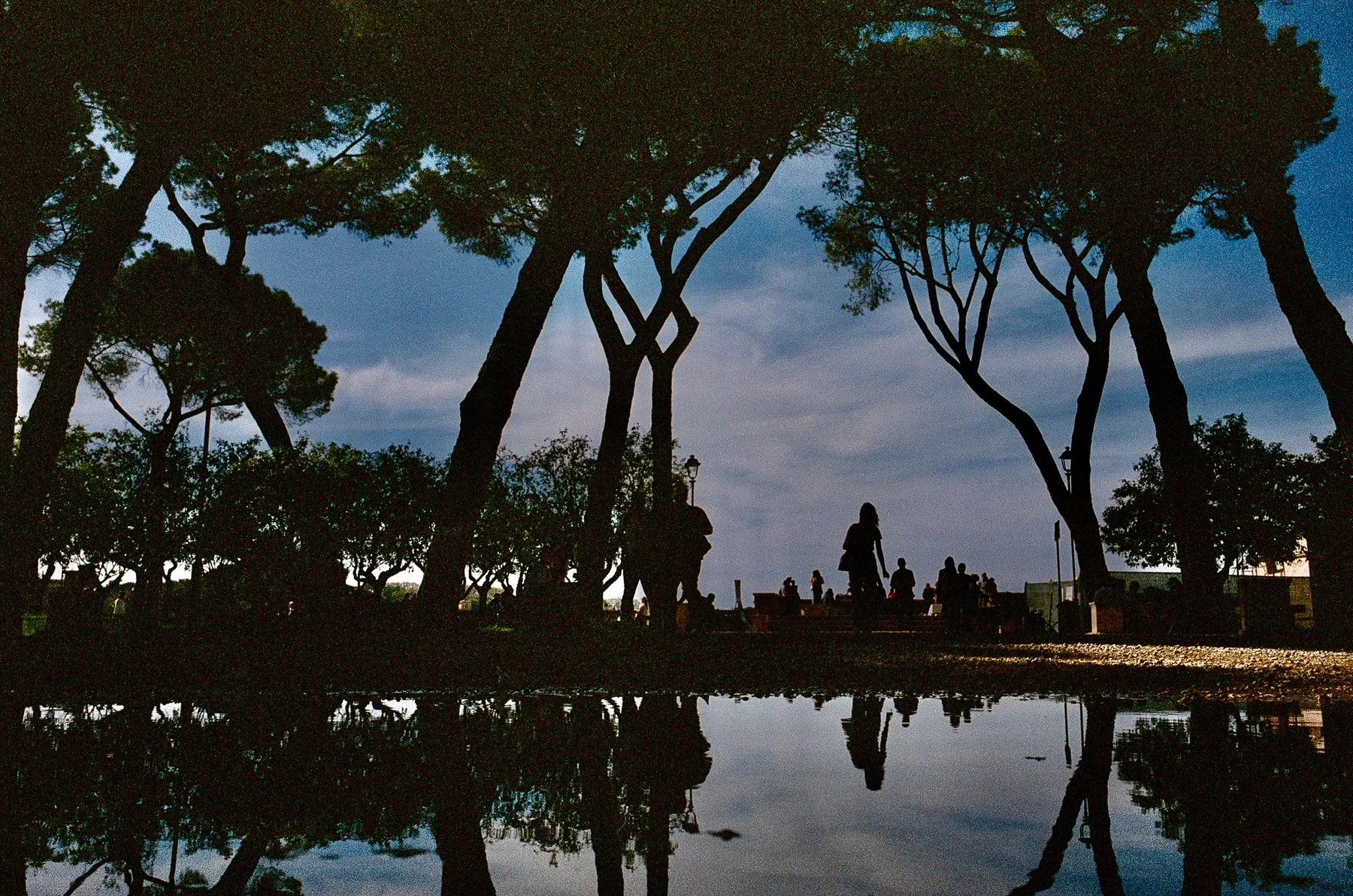 Silhouettes of people walking among tall trees in a park during dusk, with a cloudy sky and reflections on a water surface.