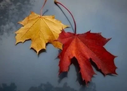 October 10th