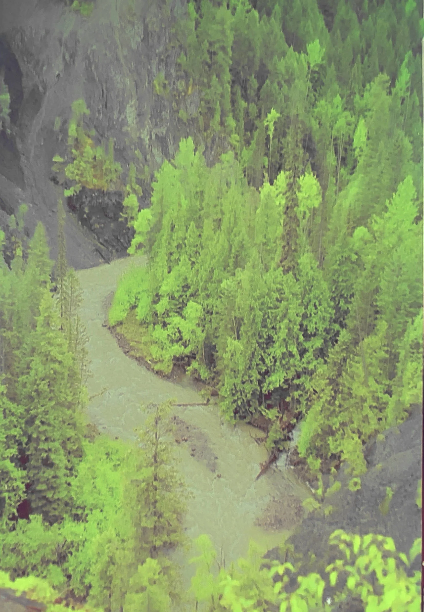 A view of a lush green forest with a river running through it, surrounded by a rocky canyon.
