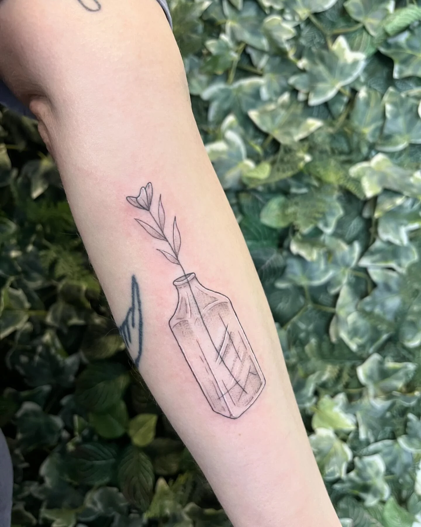 Cute bottle and a little plant by Dea, @deabeantattoos! This one was so much fun. 🌱💖

You can request an appointment with our artists by visiting our website which is linked in our bio. Looking forward to working with you!

#finelinetattoo #blackan