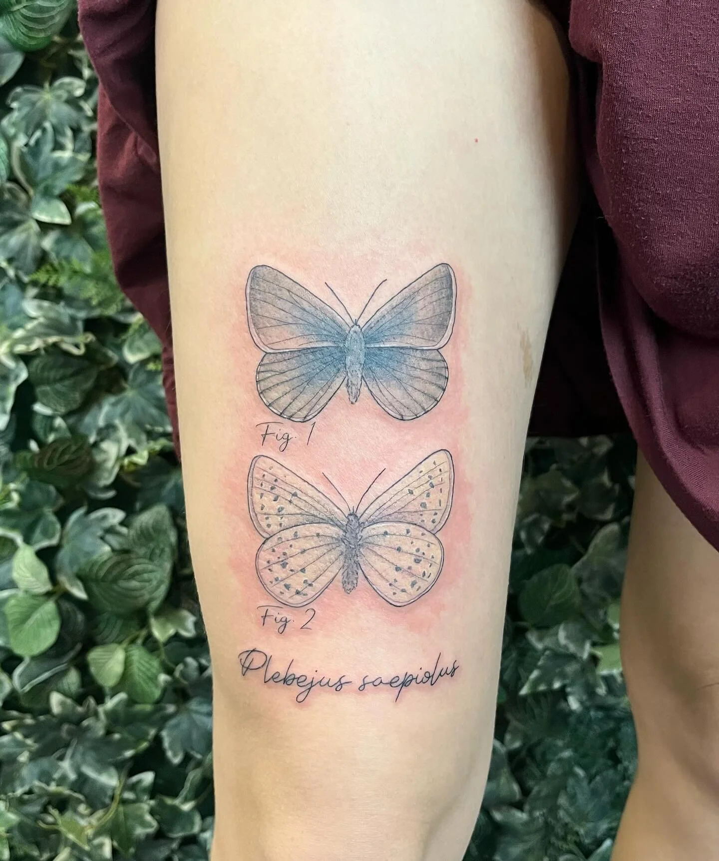 Butterflies and fineline script done by Alex - she loves tattooing animals and insects! 

If you&rsquo;d like to book an appointment with us please head over to our website (link in bio). We&rsquo;ll get back to you to get references and any other in