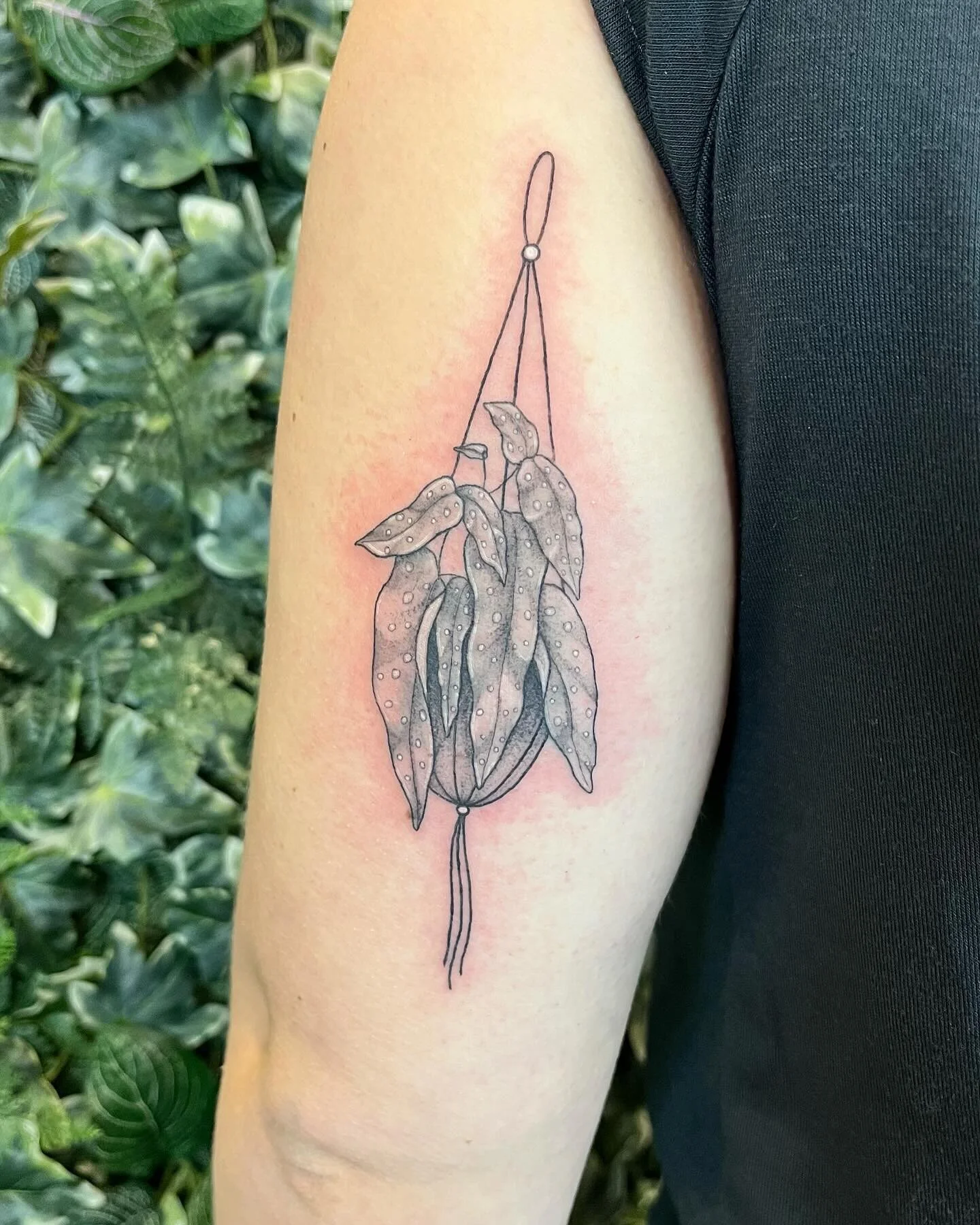 Some flash pieces done by Alex! 

If you&rsquo;d like to book an appointment with us please head over to our website (link in bio). We&rsquo;ll get back to you to get references and any other information we&rsquo;ll need to book you in! 

#okanaganta