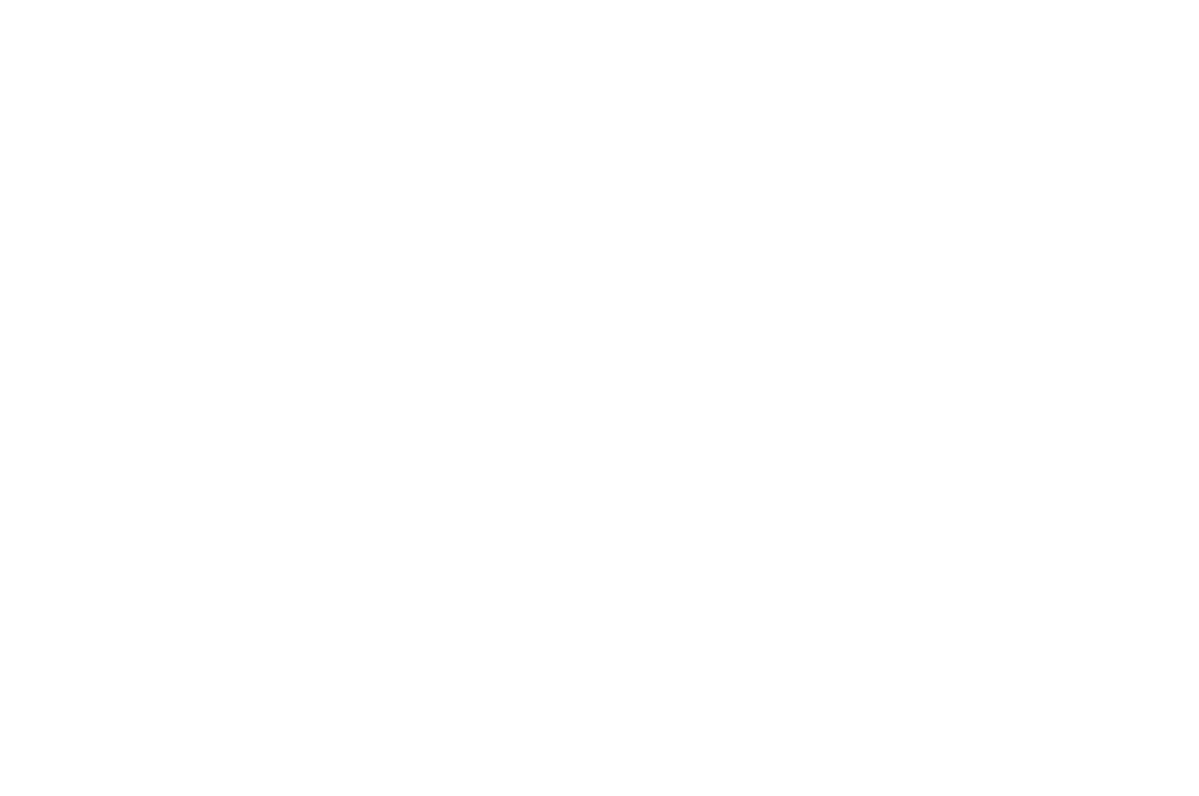 Official Selection: Sarasota Film Festival