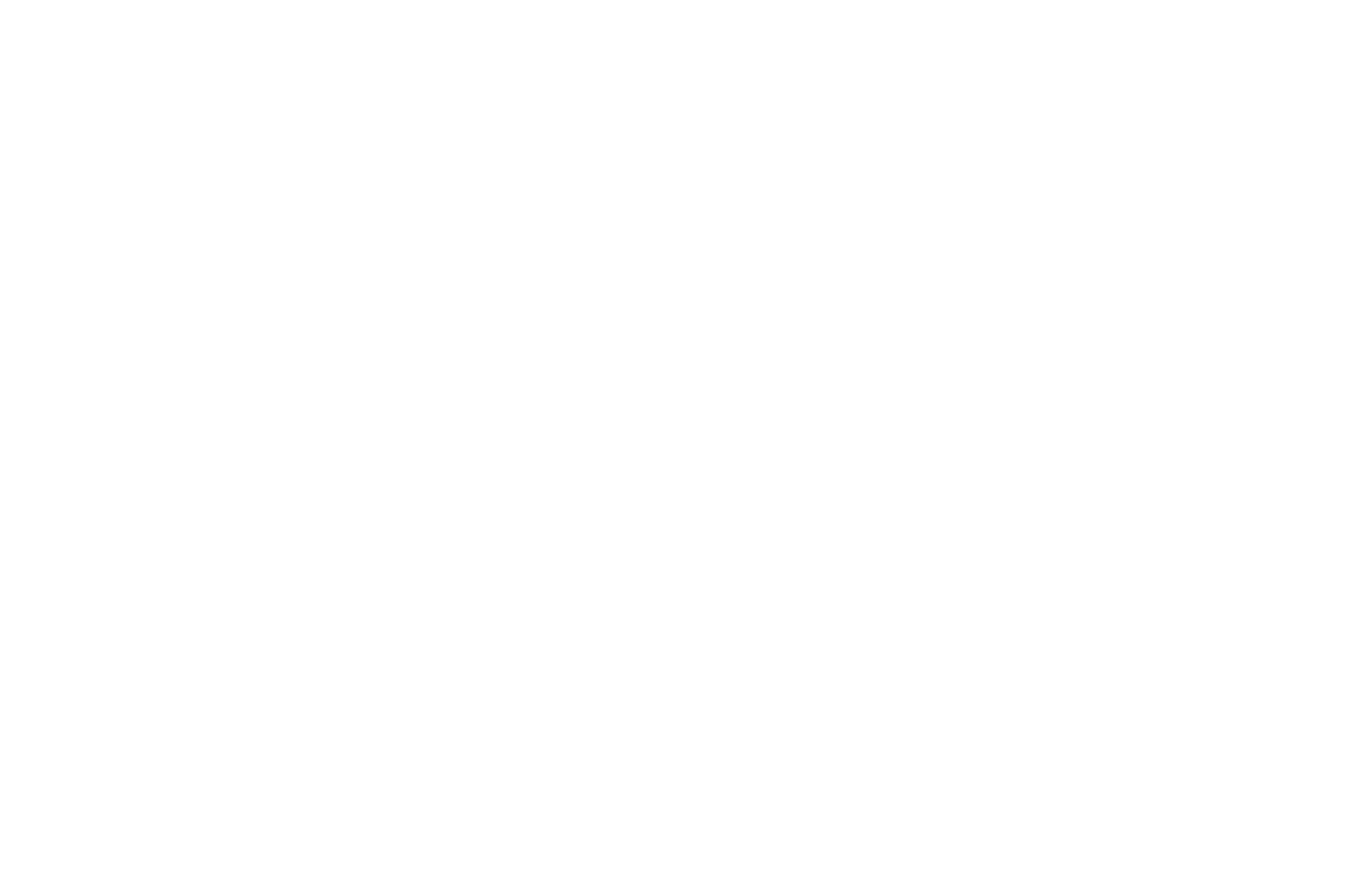 LIFF - Lebanese Independent Film Festival laurel