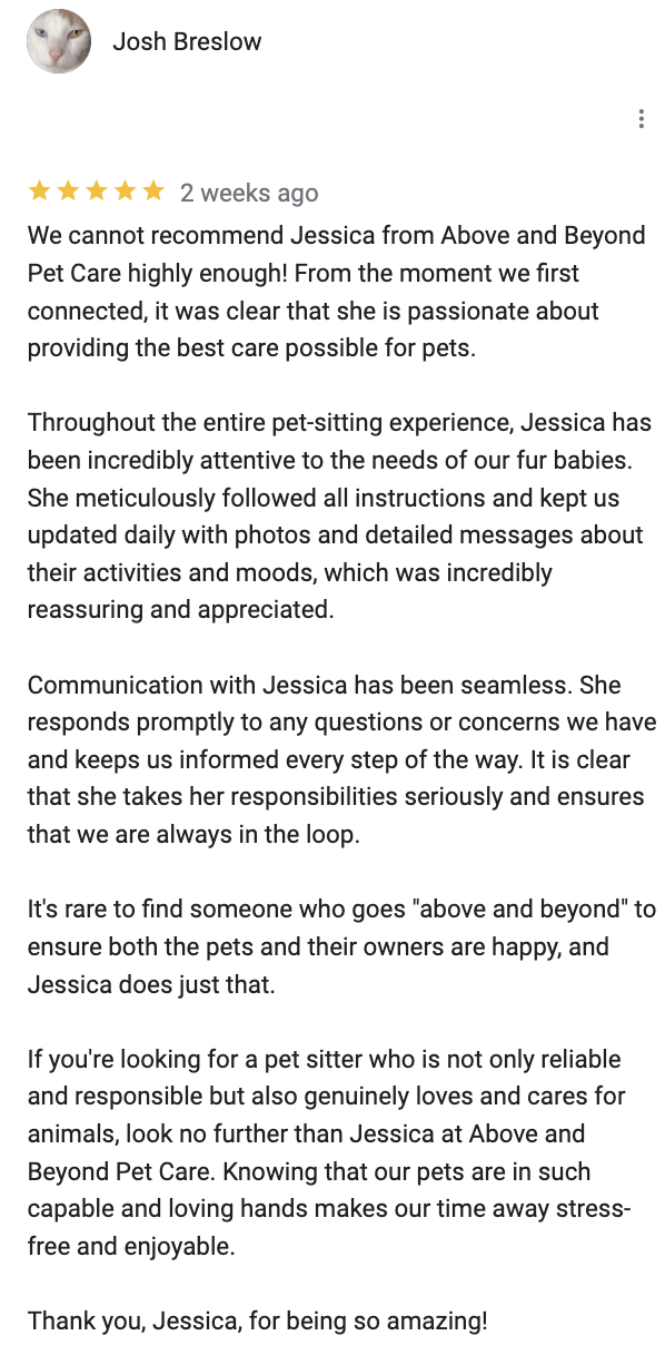 Screenshot 2024-06-23 at 12.02.44 PM.png