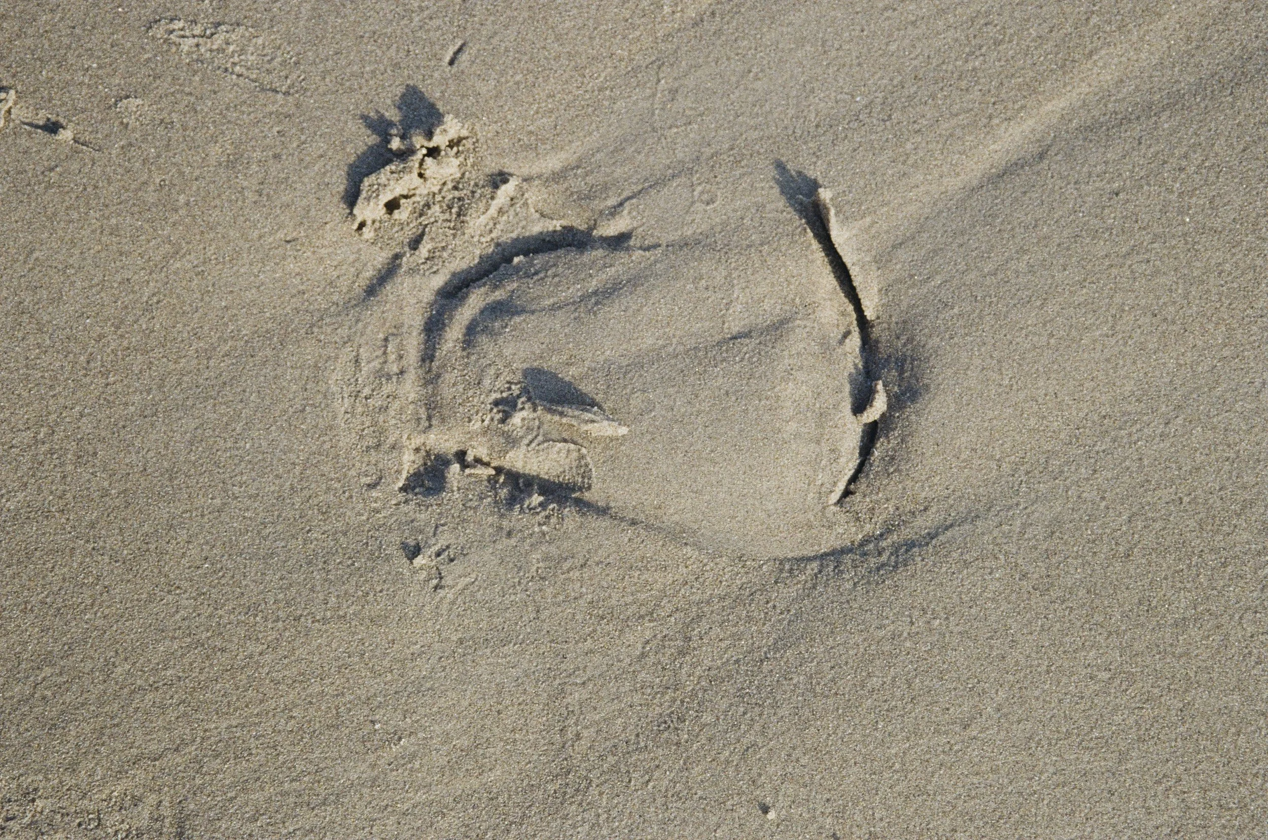 egb-5.jpg