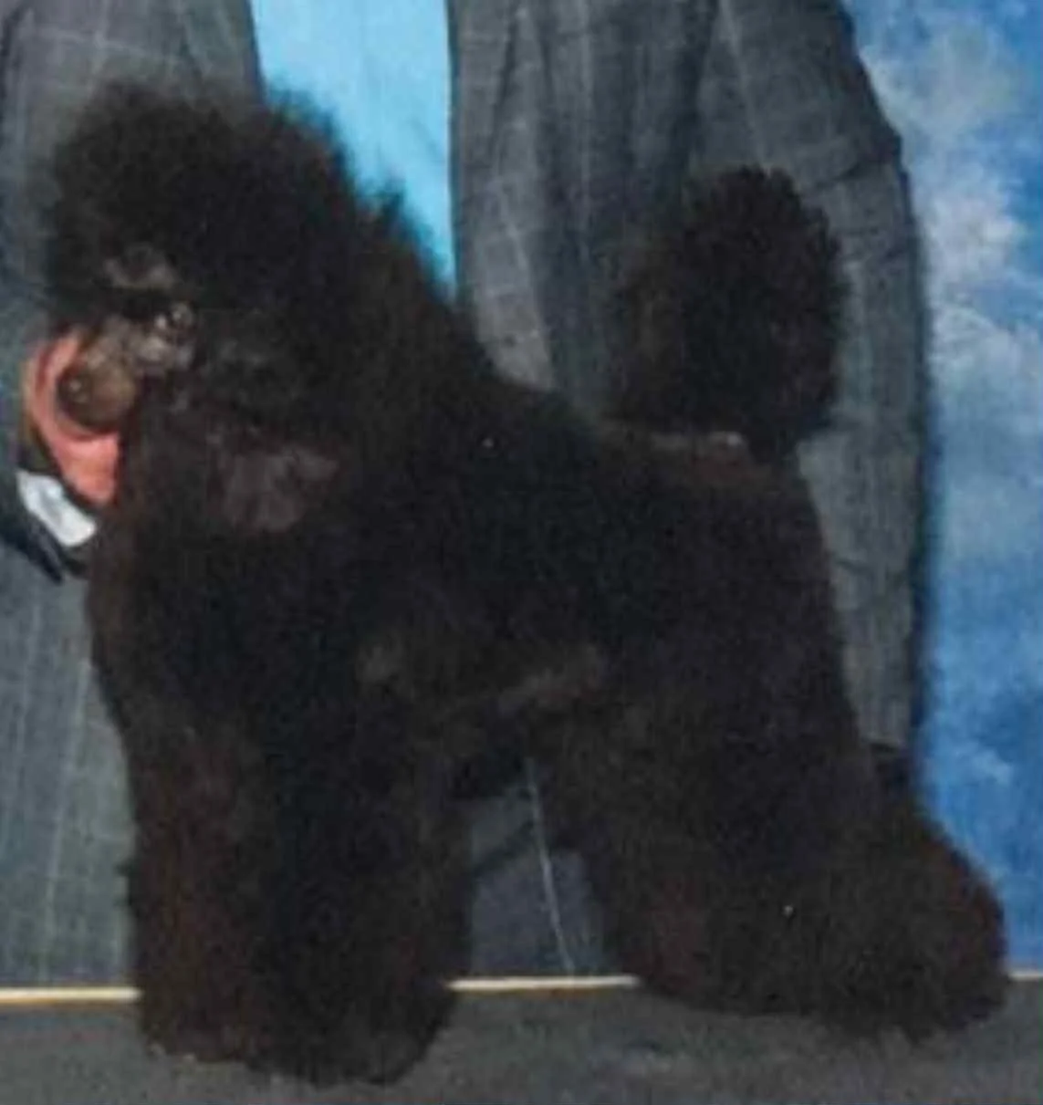 A person with dark curly hair and glasses, dressed in dark clothing, bending over and writing on the ground with a stick or similar object. An individual in gray plaid pants stands nearby.