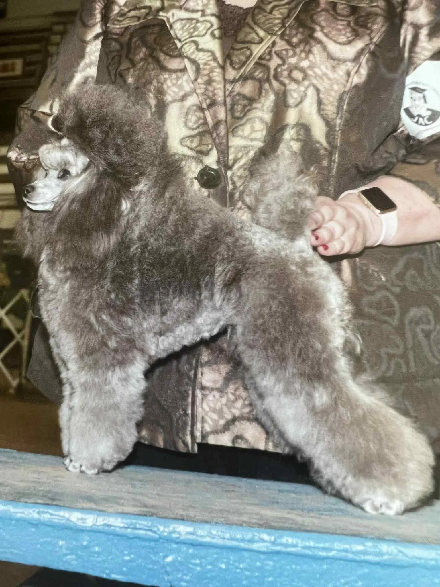 A person in a camouflage jacket holding a fluffy puppy with black, white, and gray fur, standing on a wooden surface with a blue edge.