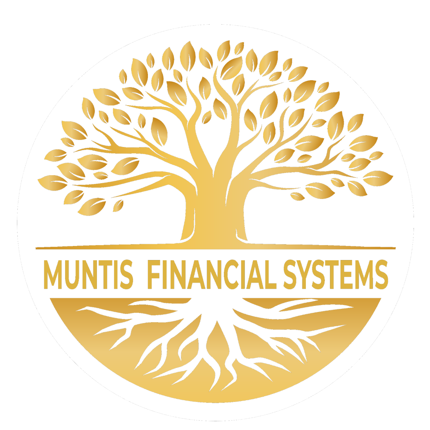 Muntis Financial Systems