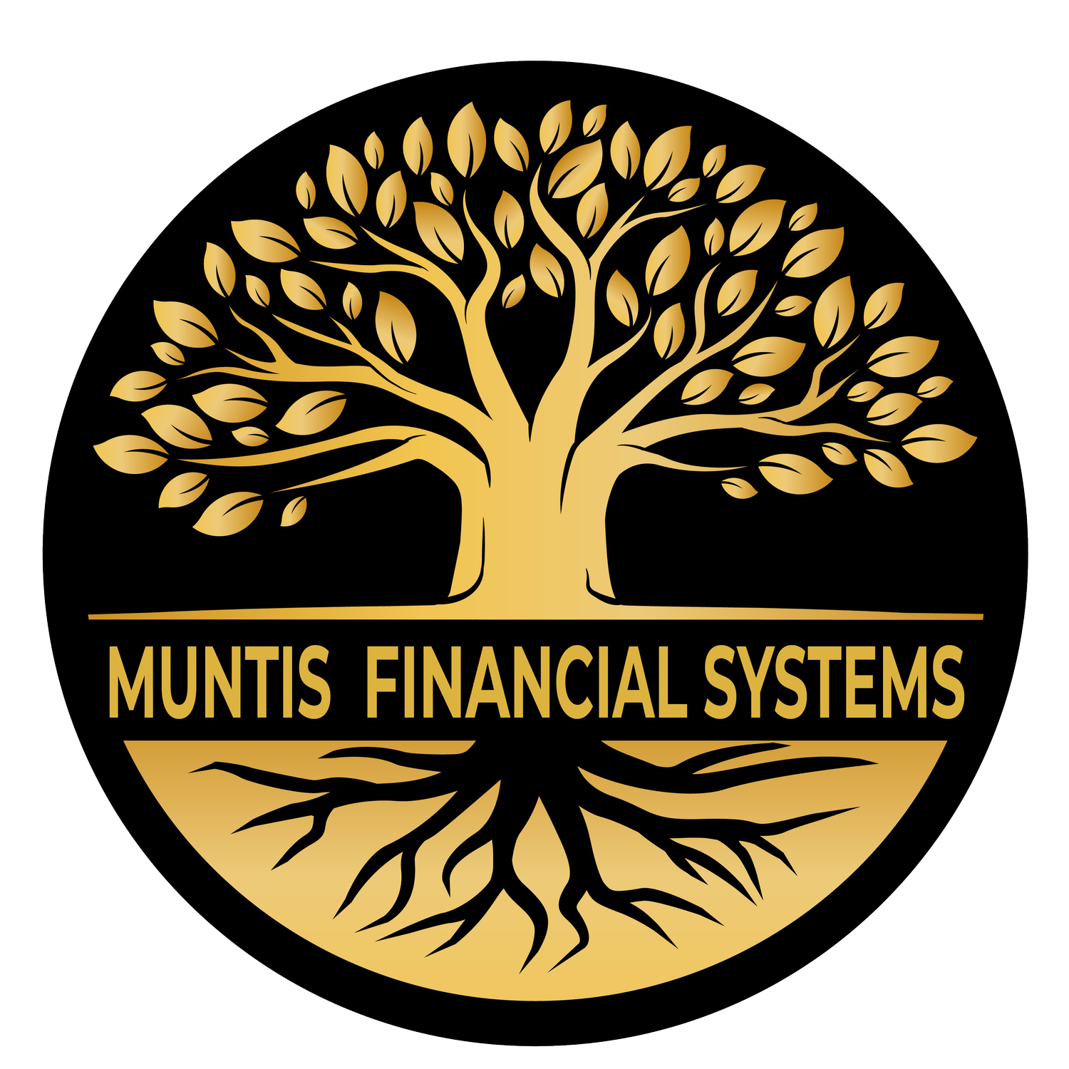 Muntis Financial Systems
