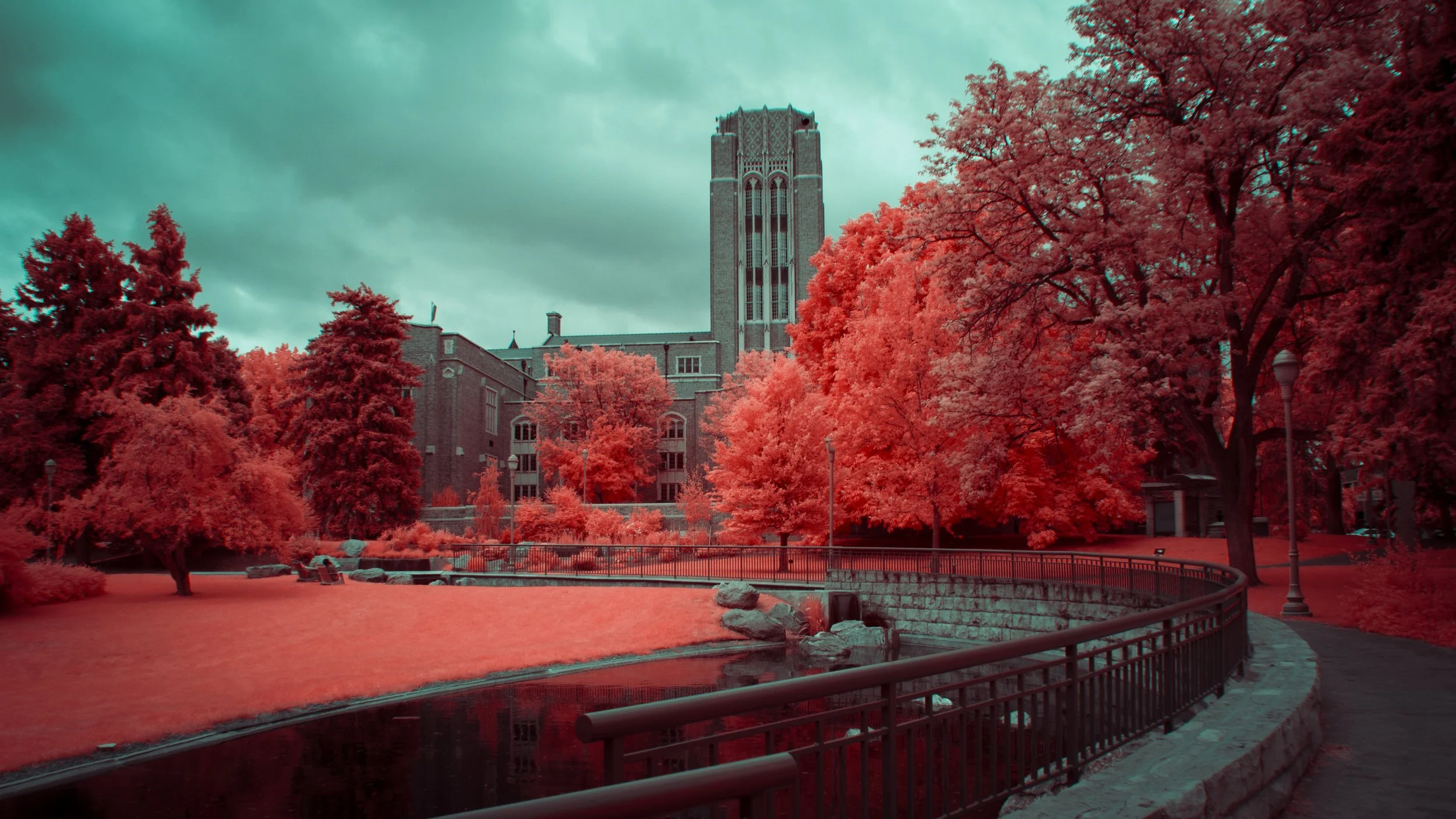 IR Campus.jpg