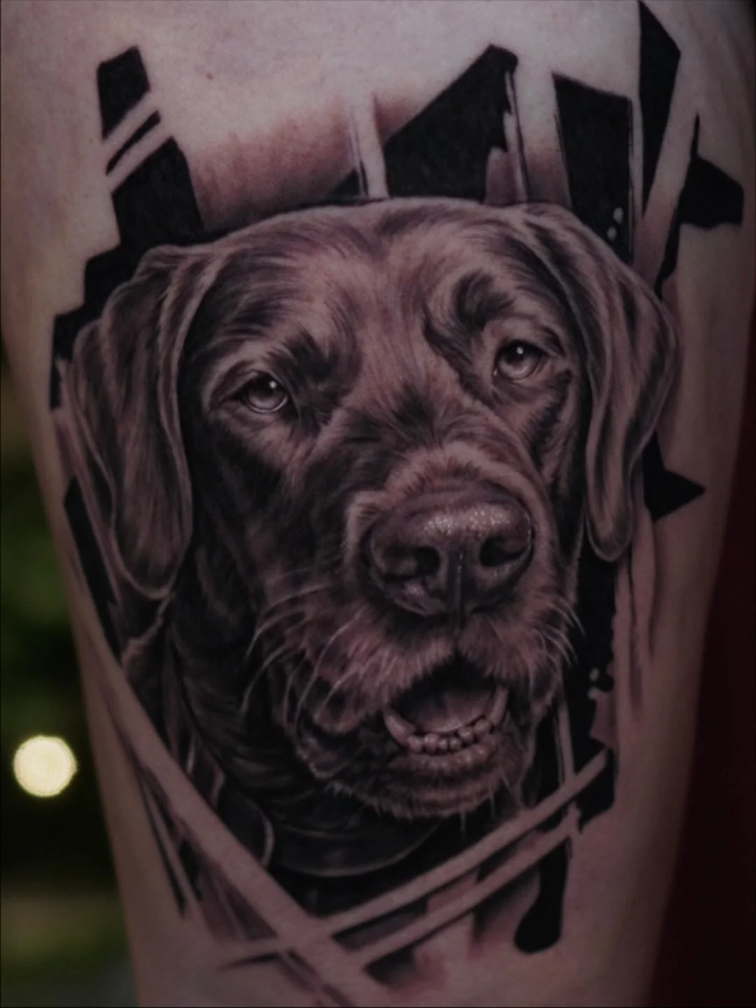 Eternally grateful!!!! Tattoo of the day Saturday and Also got 1st medium black and grey!!!! My client today did so great and I was honored to do her late pet who sadly passed. She said he was her spirit animal. Rest easy pupperz @cranberrytattooclas