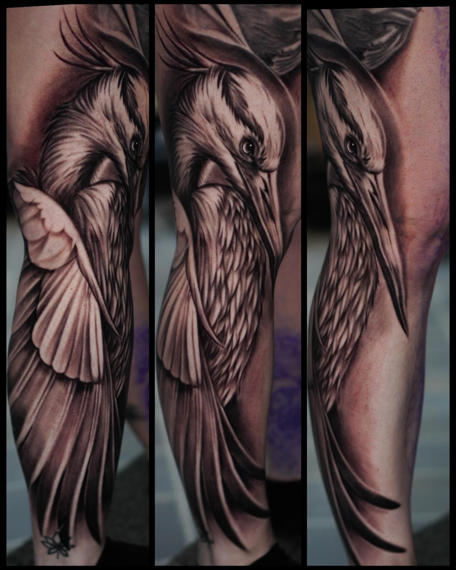 Dancing for Joy: Cranes often dance to show happiness, not just for courtship. @tattystick @industryinksusa @kwadron #cranetattoo #birds #girlswithtattoos #tattooinspo