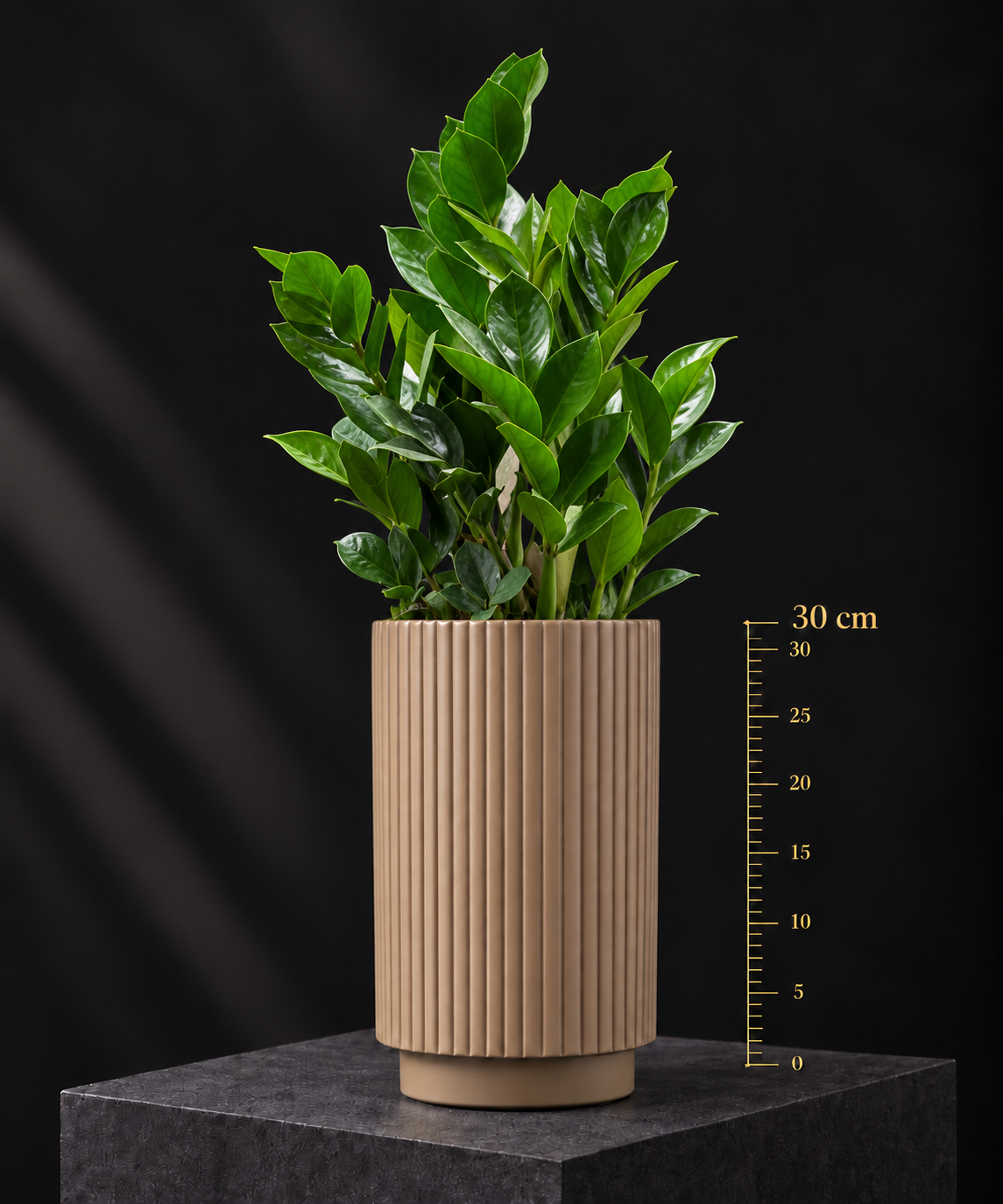 3DFD6397-C757-4D04-AF29-BB9E19D4823E.PNG