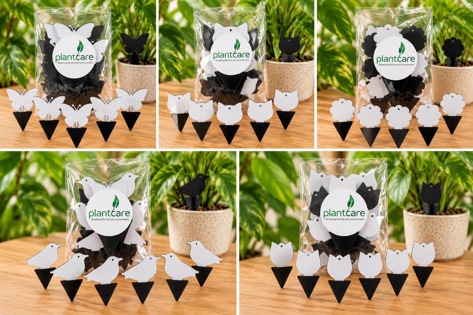 Sticky Run Fungus Gnat Sticky Traps - Pack of 6 (5 Fun Shapes!) — Plant Care