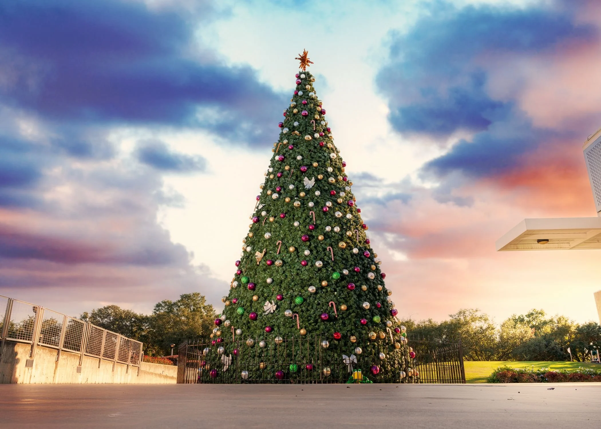 Tree Lighting at Heritage Plaza