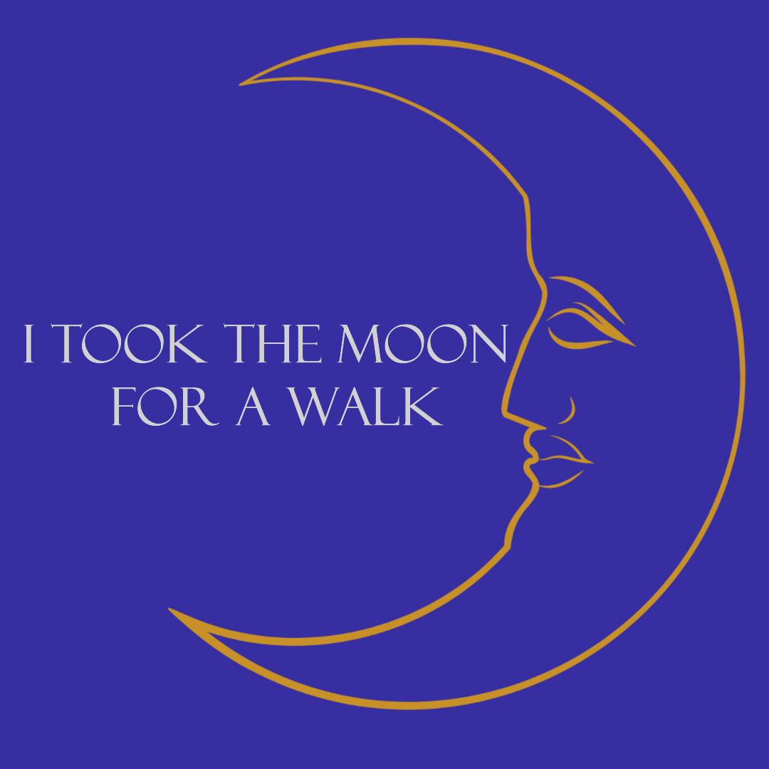 I Took The Moon For A Walk
