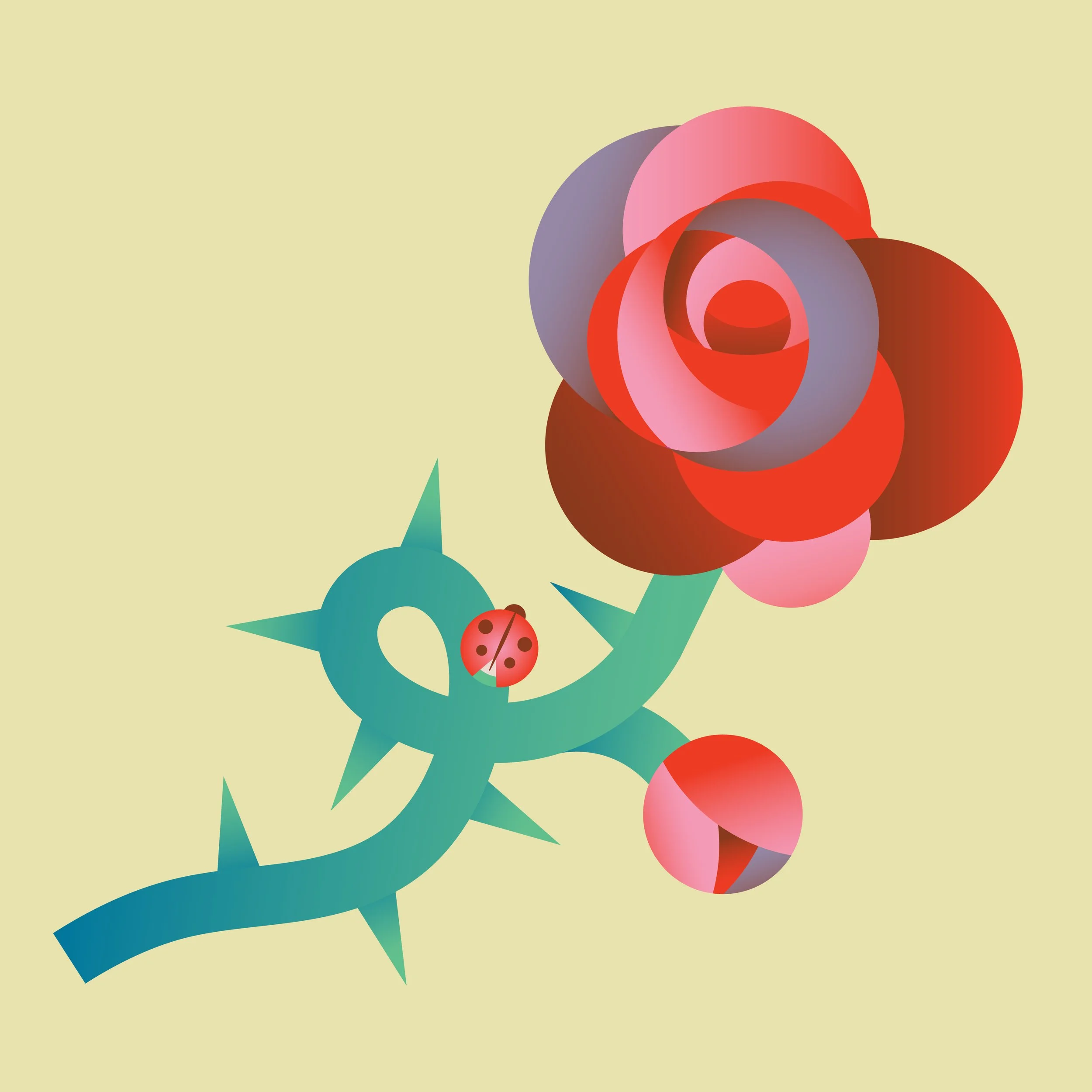 ***ROSE.jpg