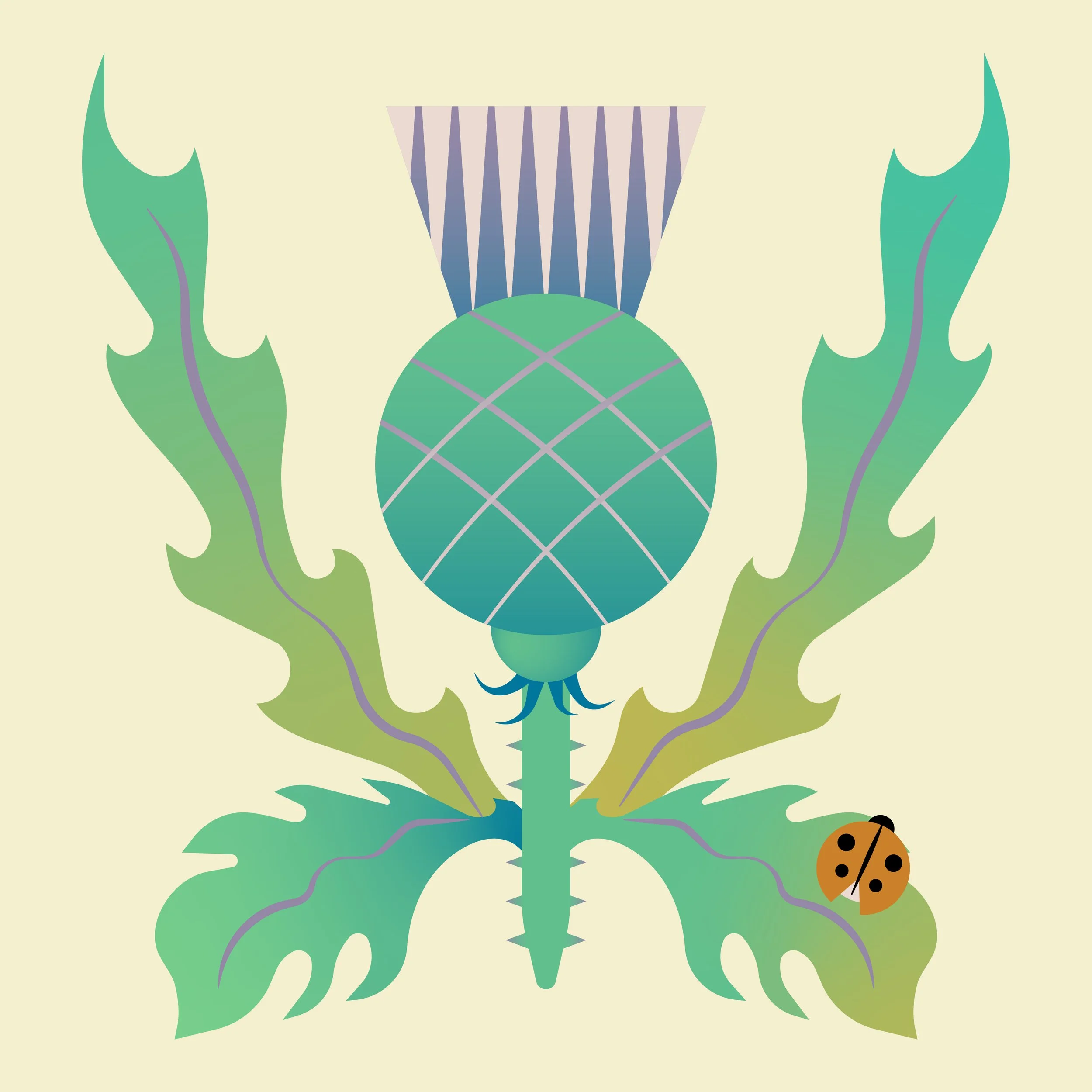 thistle