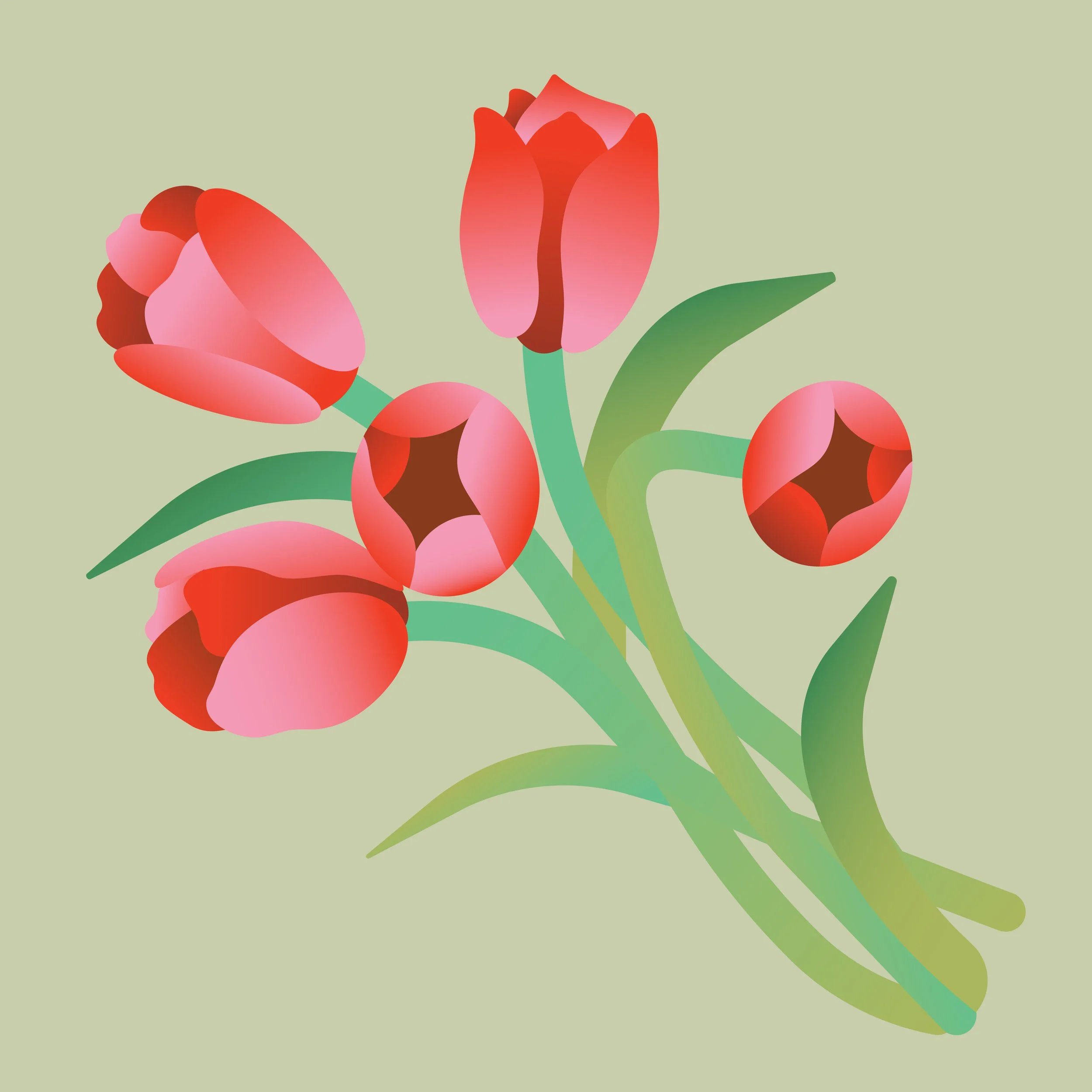 ***TULIPS.jpg