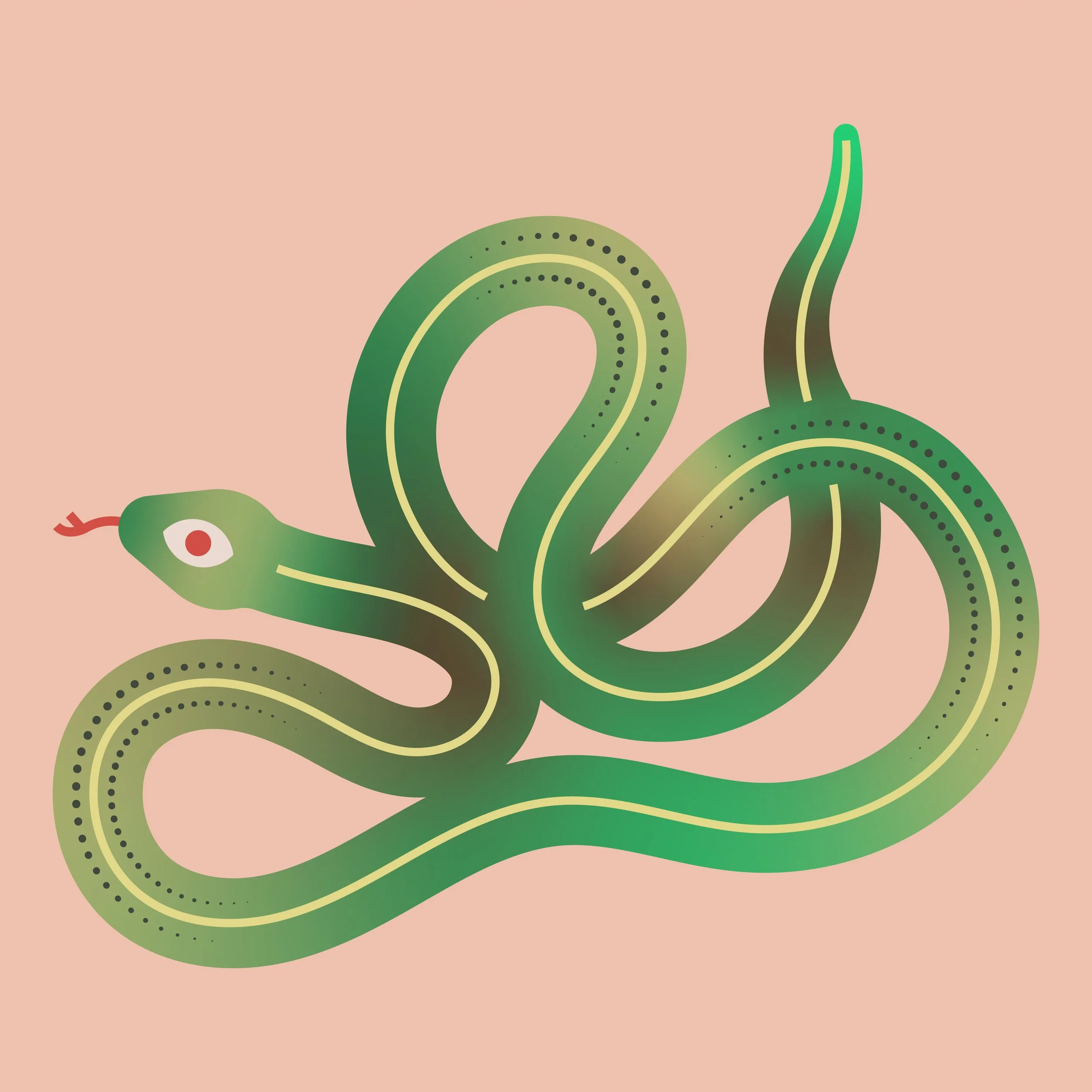 ***SNAKE.jpg