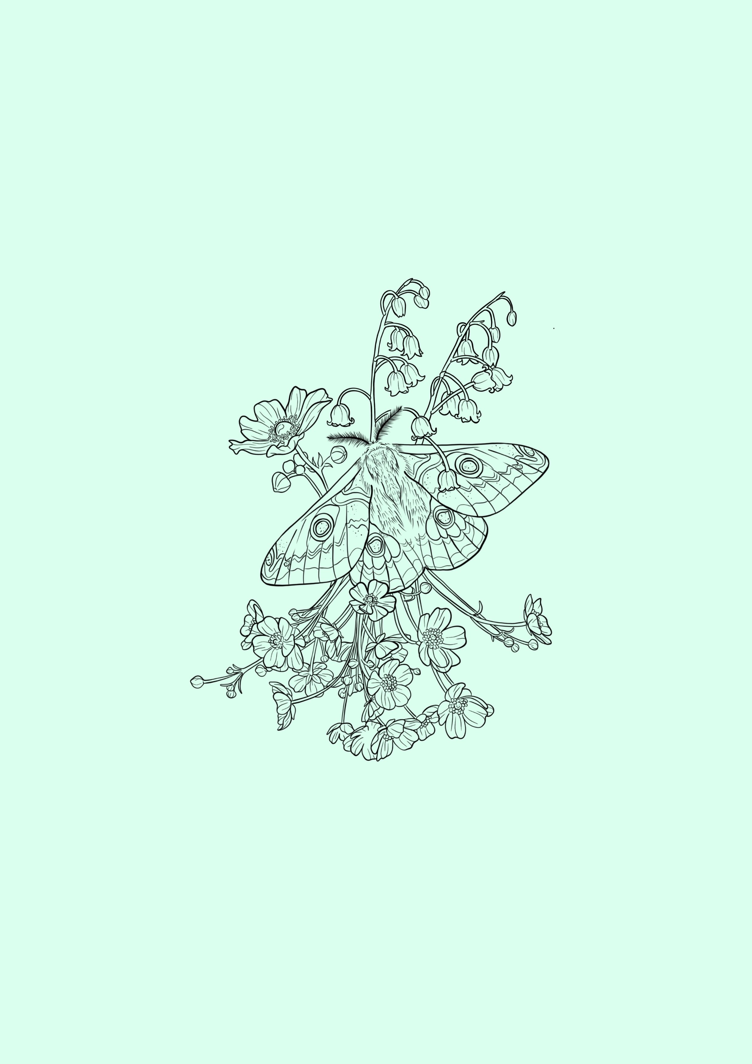 Spring Flowers