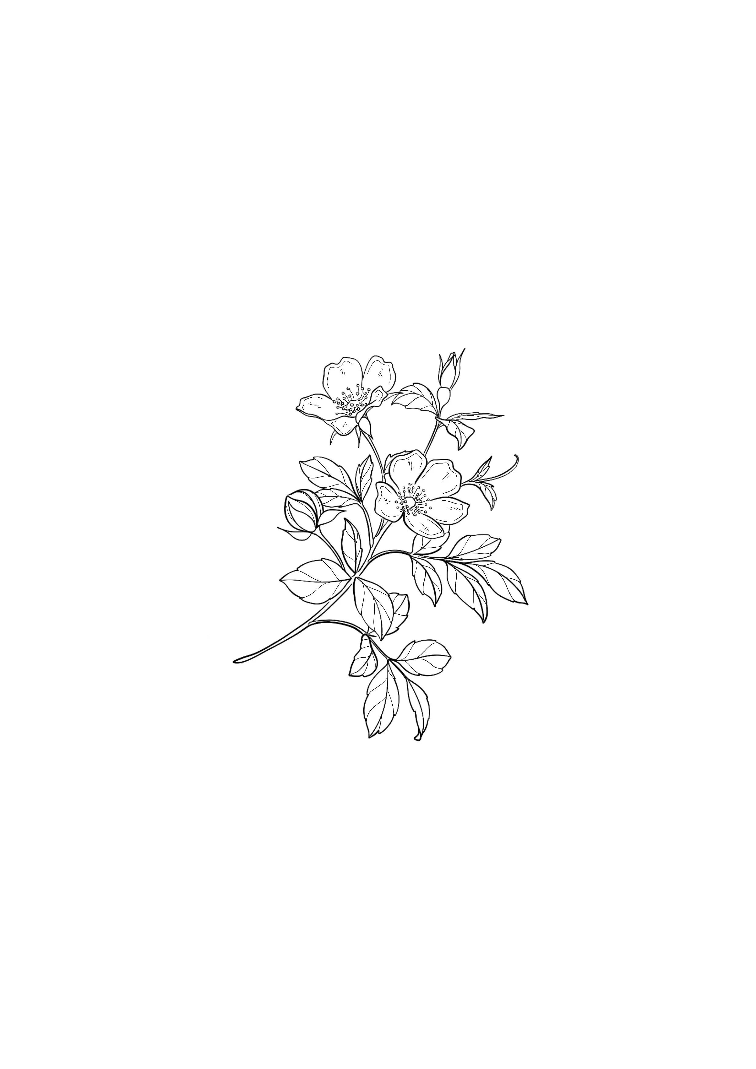 Untitled_Artwork 91.jpg