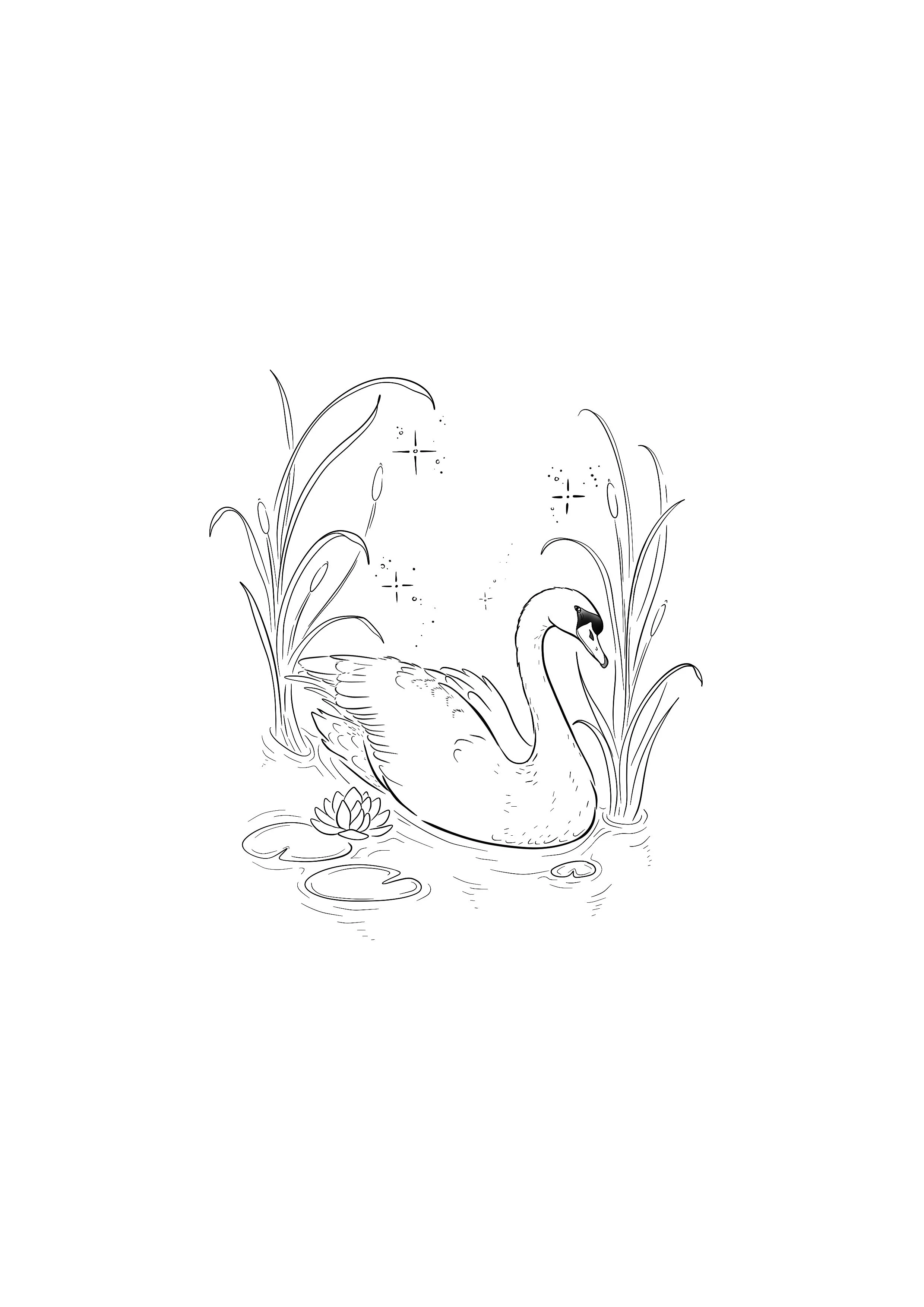 Untitled_Artwork.jpeg