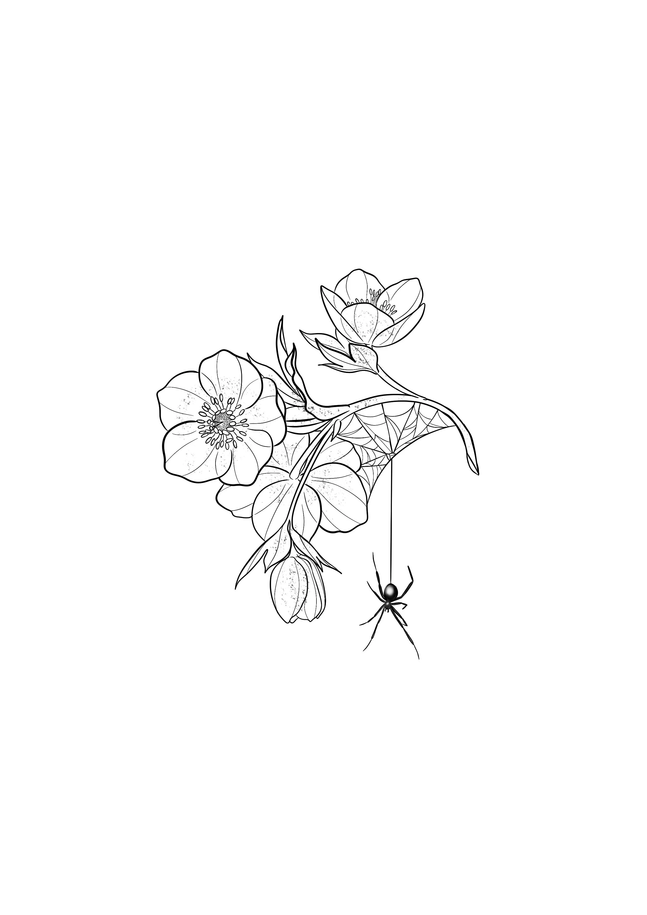Untitled_Artwork 2.jpg